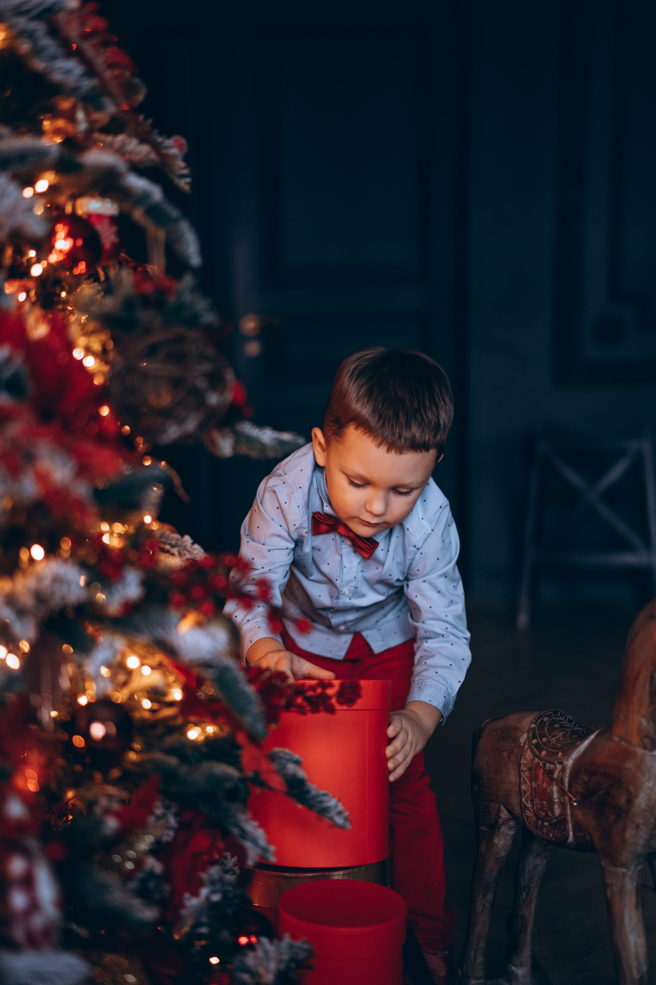 Лилия, Александр и Гера. Фотограф в Санкт-Петербурге Батурина Елена