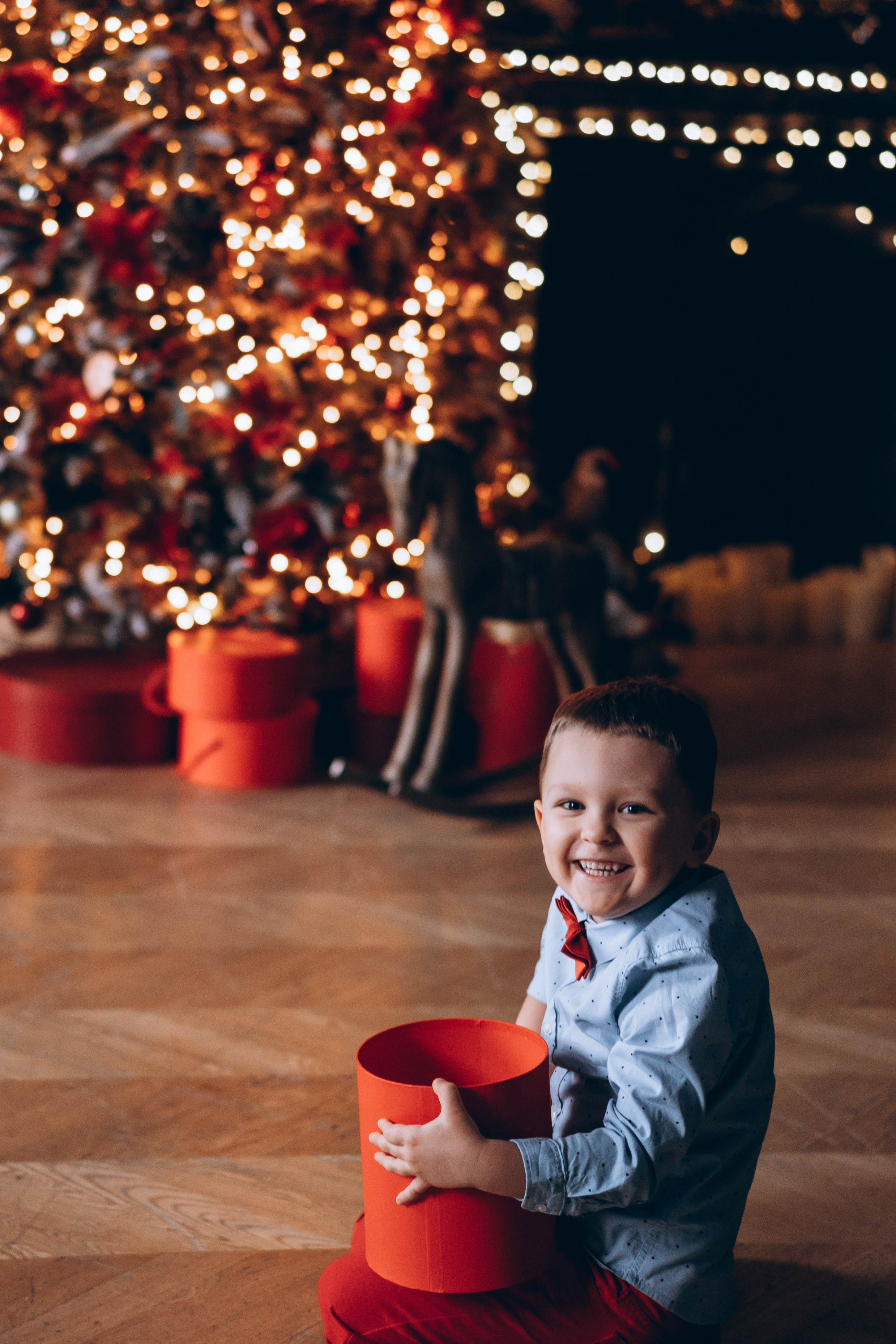 Лилия, Александр и Гера. Фотограф в Санкт-Петербурге Батурина Елена