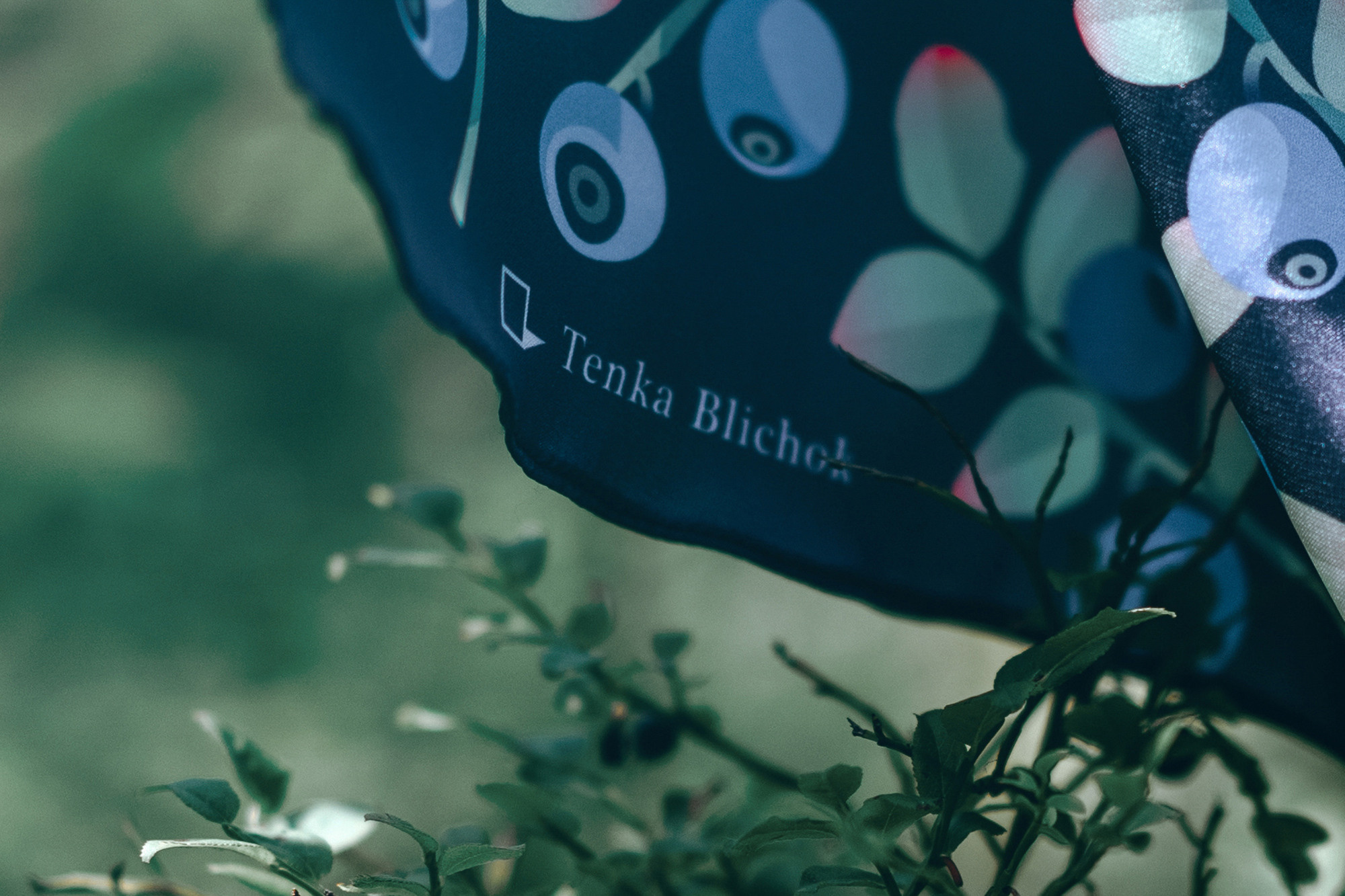 Для бренда Tenka Blichok в лесу. Фотограф в Санкт-Петербурге Батурина Елена