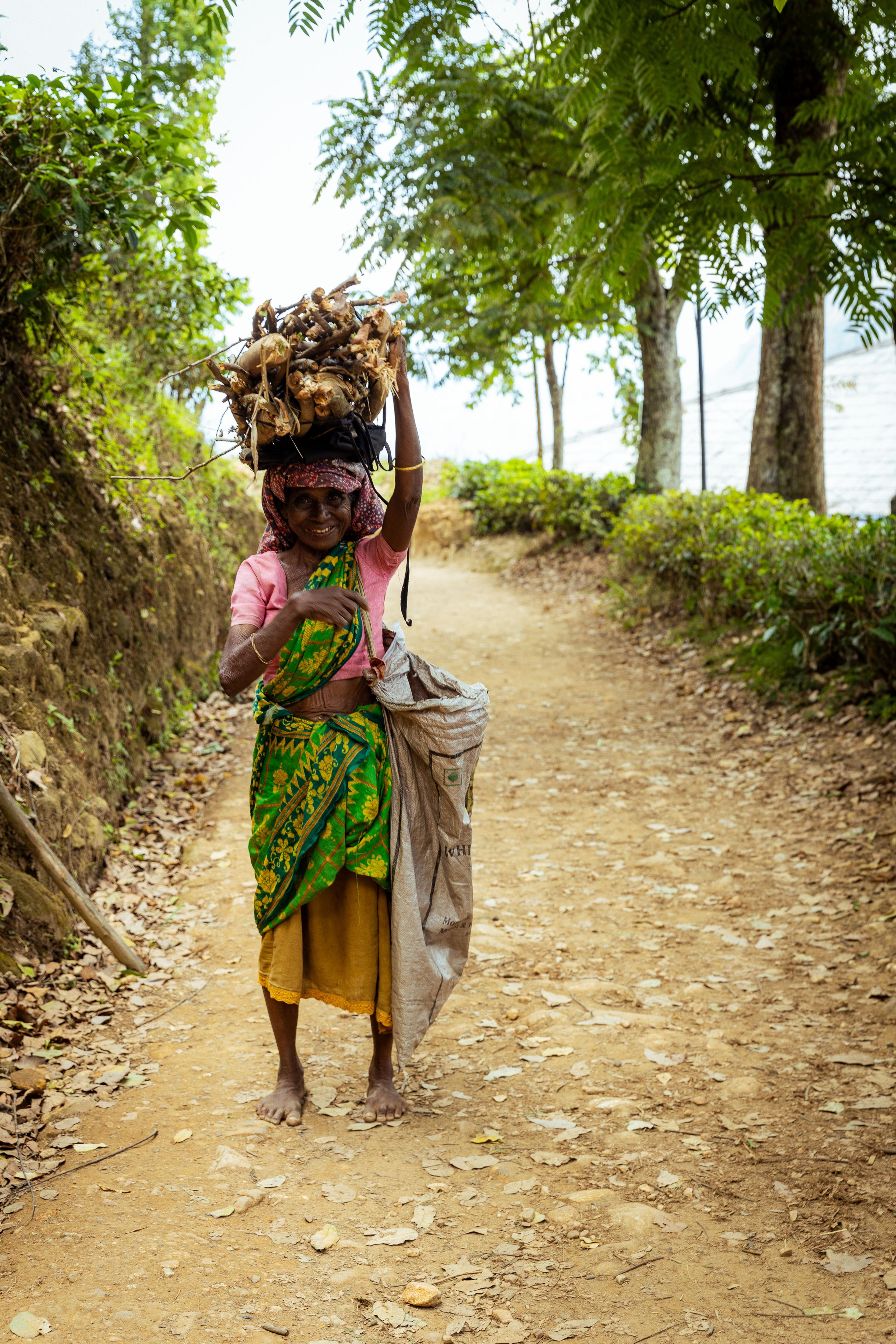 Шри-Ланка (весна 2024). Фотограф Виноградов Константин