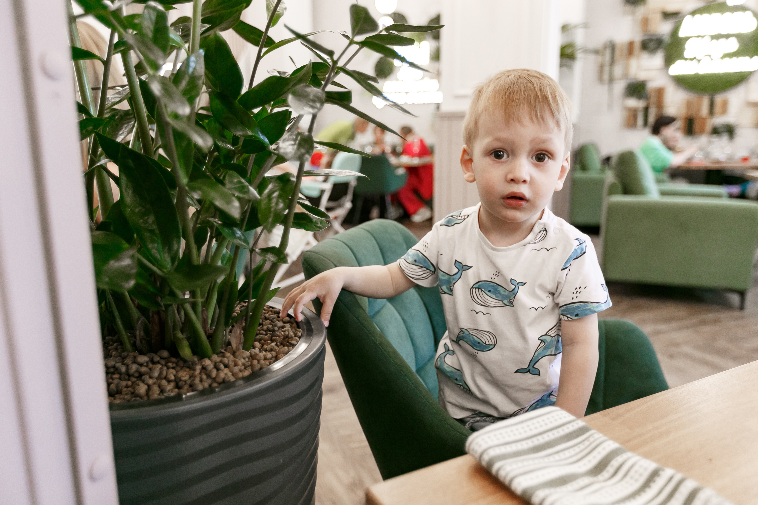 Открытие семейного ресторана Оливка. Часть 1