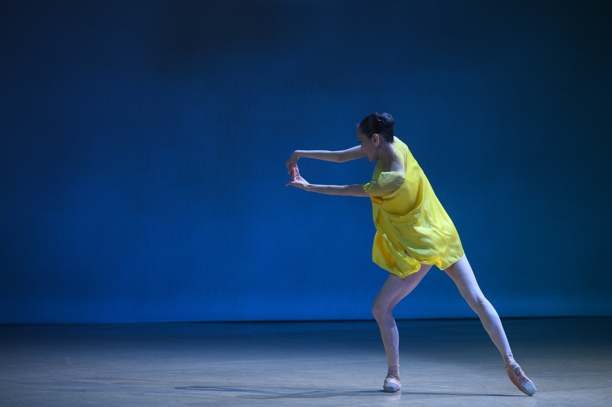 Балет Москва: Транскрипция цвета. Елена Дружинина. Спортивный и репортажный фотограф