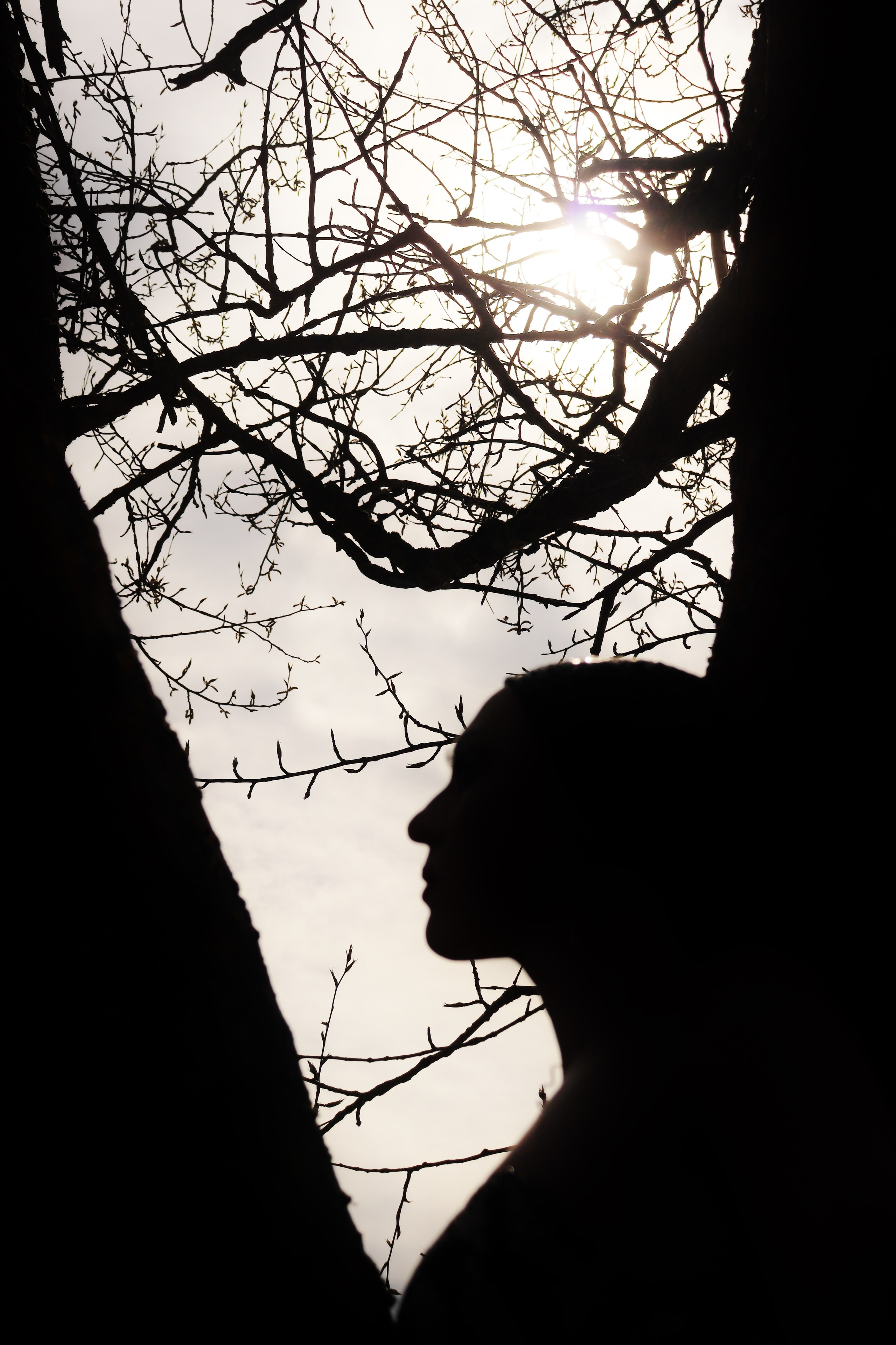 Blend of Elements. Juliarubis.com