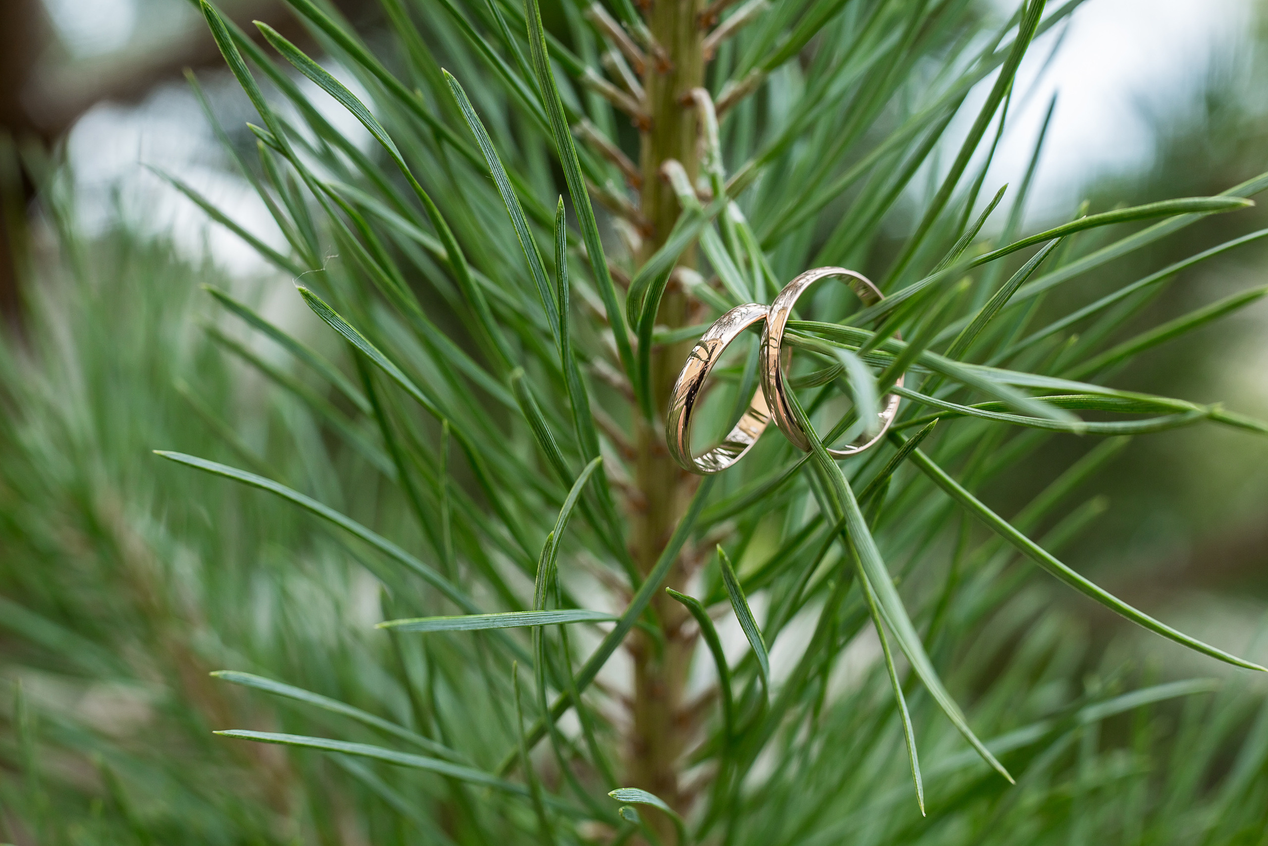 Свадебная фотосессия в Заволжье, Городце, Нижнем Новогороде. Фотограф в Заволжье Алексей Шабалин