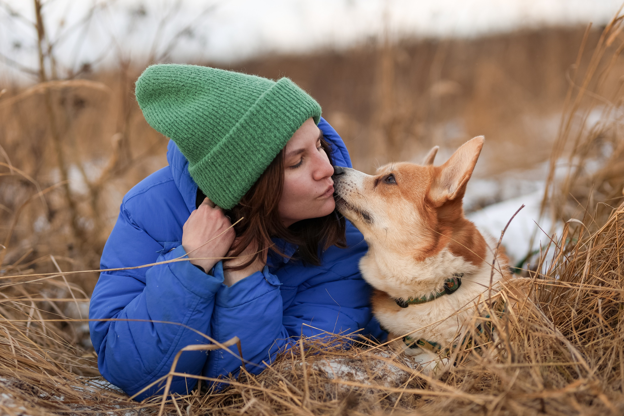 Трой, Балу и Катя. Фотограф-анималист в Москве Кириллова Татьяна