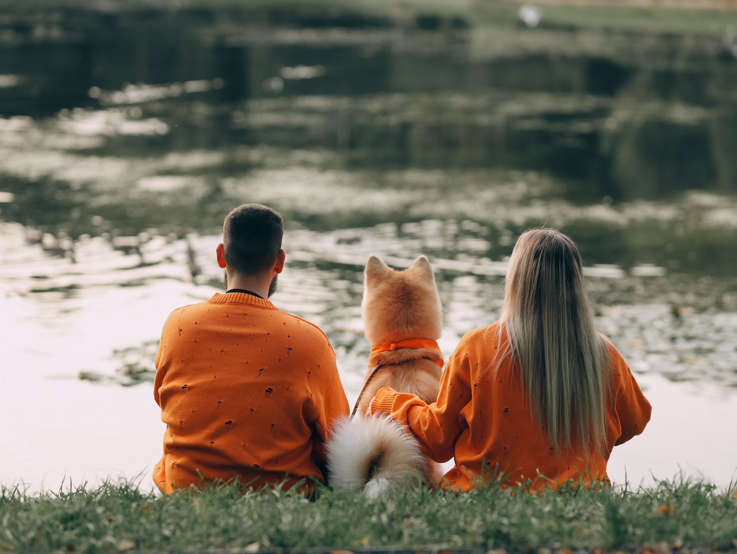 Гранд, Вика и Степан. Фотограф-анималист в Москве Кириллова Татьяна