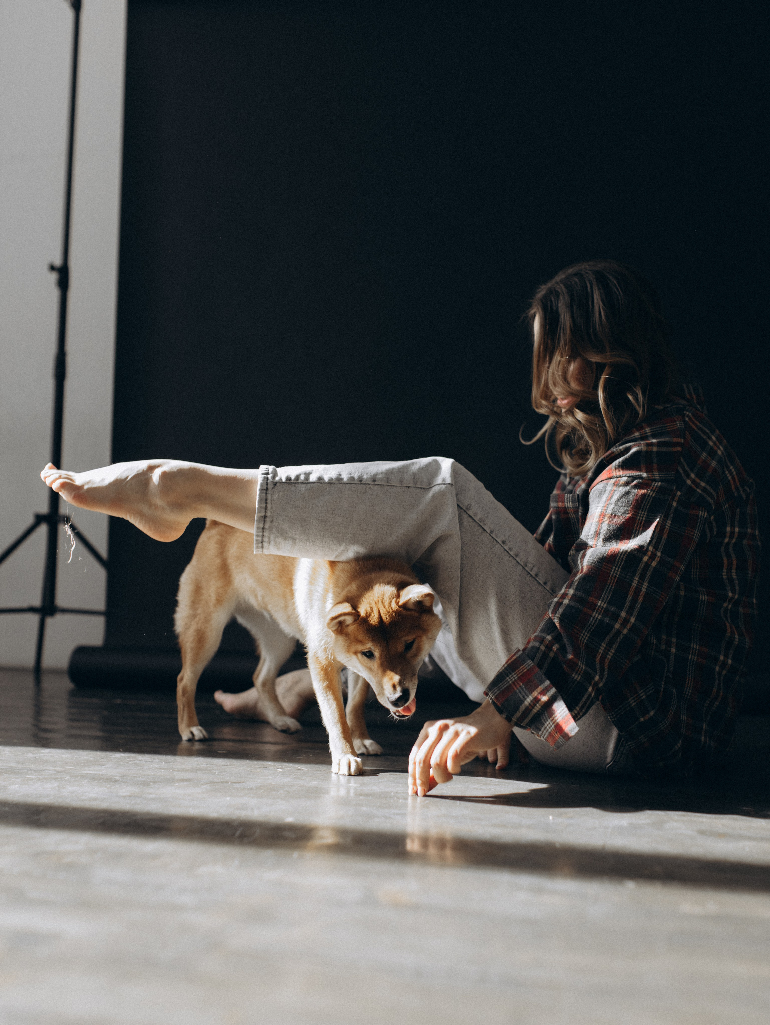 Мика и Настя. Фотограф-анималист в Москве Кириллова Татьяна