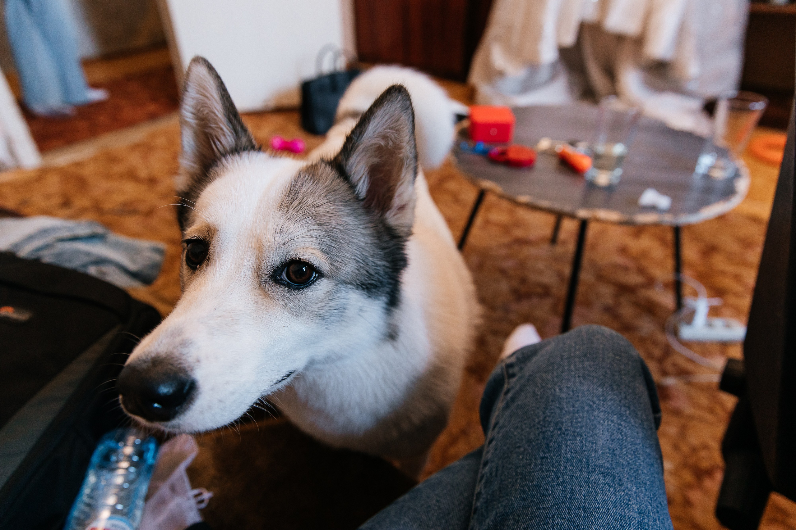 Репортажи. Свадебный фотограф Нижний Новгород | Софа Полякова