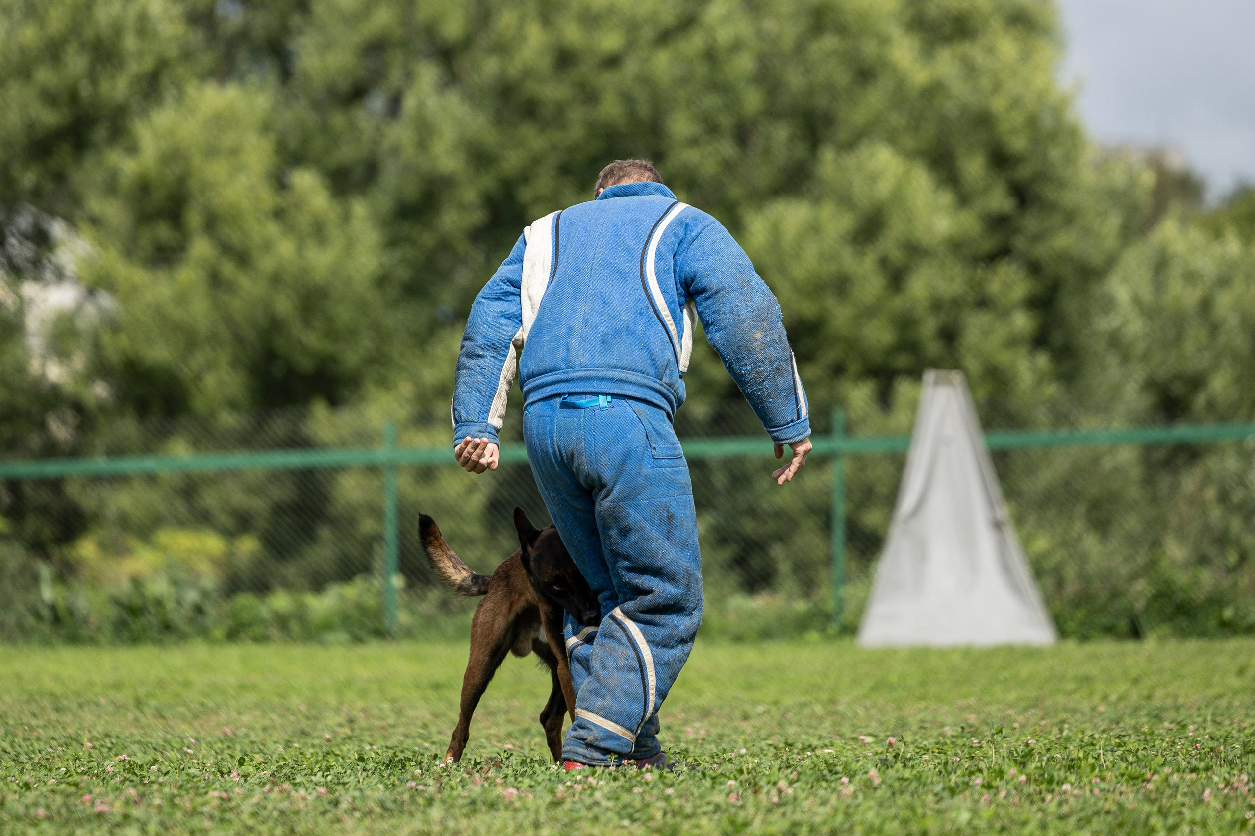 Соревнования по Мондьорингу г. Вологда 10-11.08.2024. Фотограф-анималист Анна Маринич