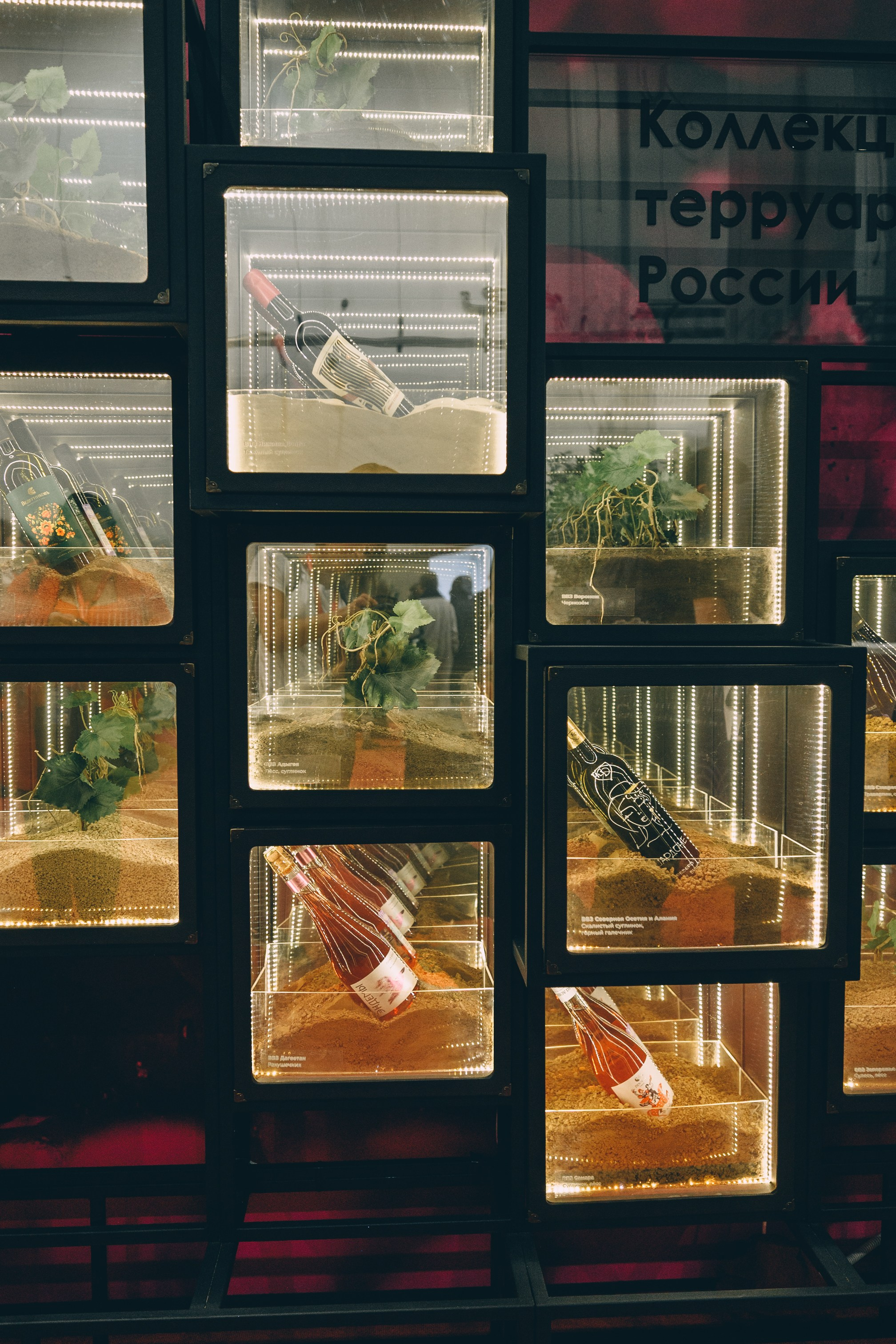 V Конгресс молодых ученых 2025. Свадебный и семейный фотограф София Невская