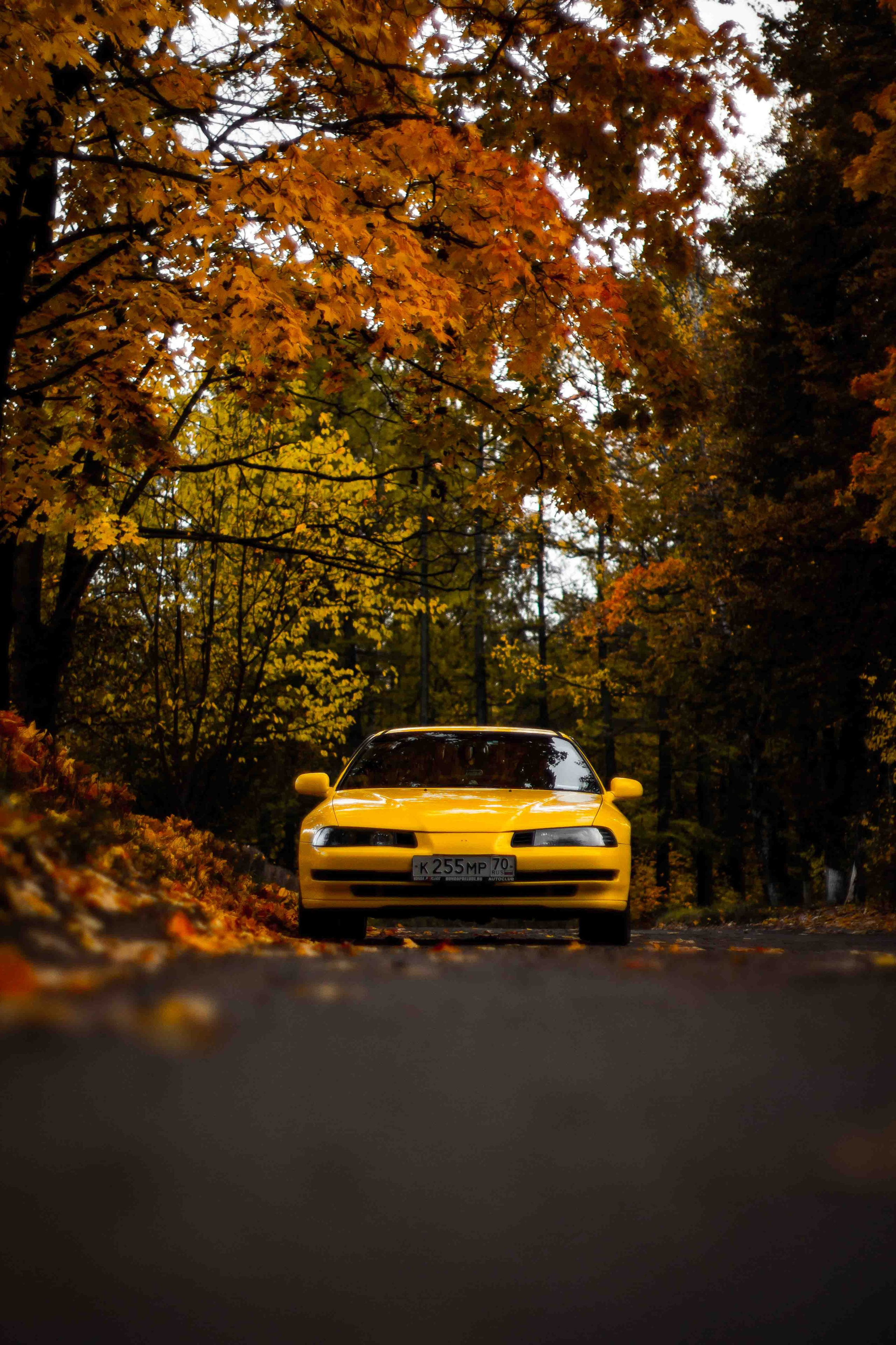 Осеннее настроение. Александр Попов