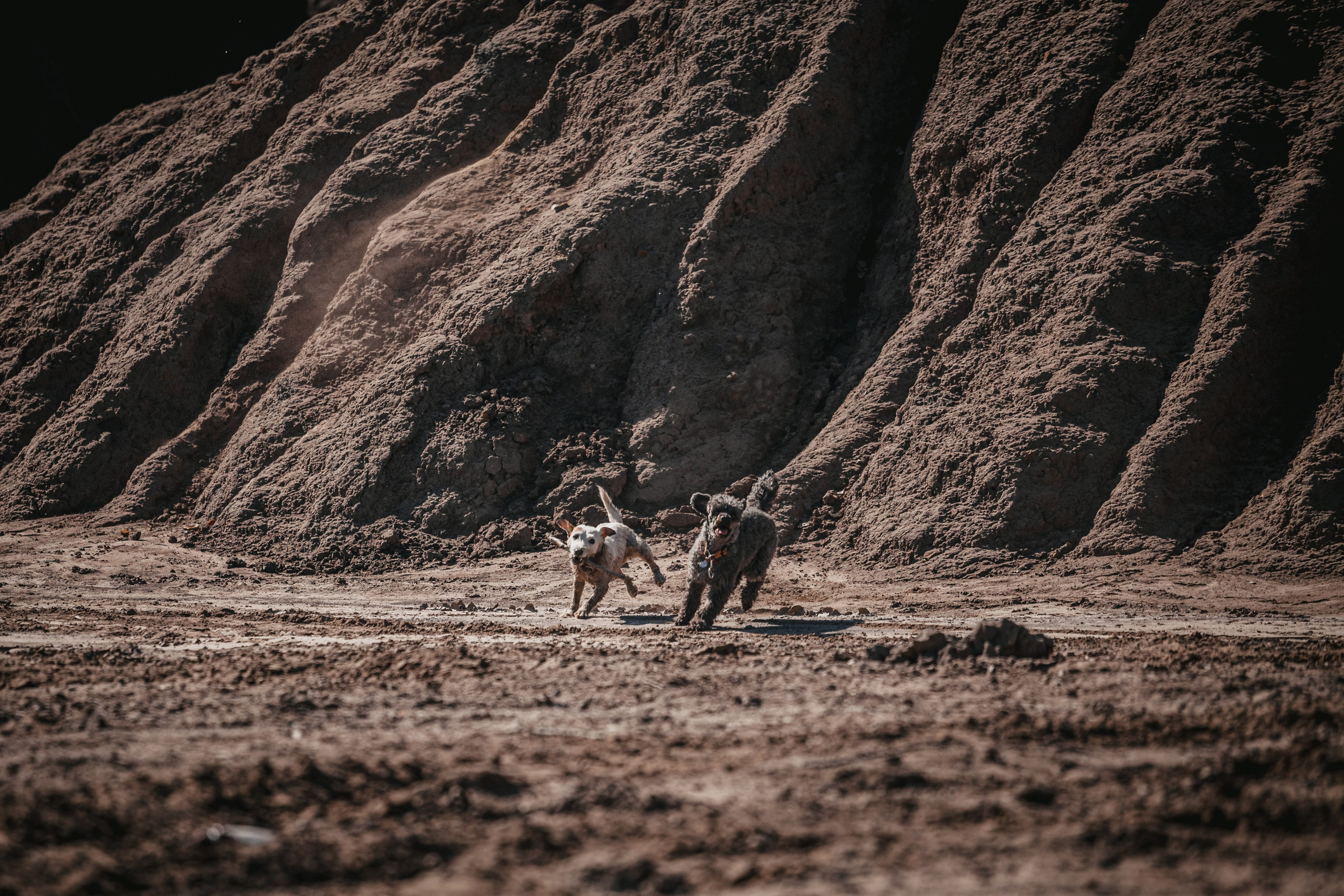 Кондуки. Фотограф-анималист Татьяна Степанова