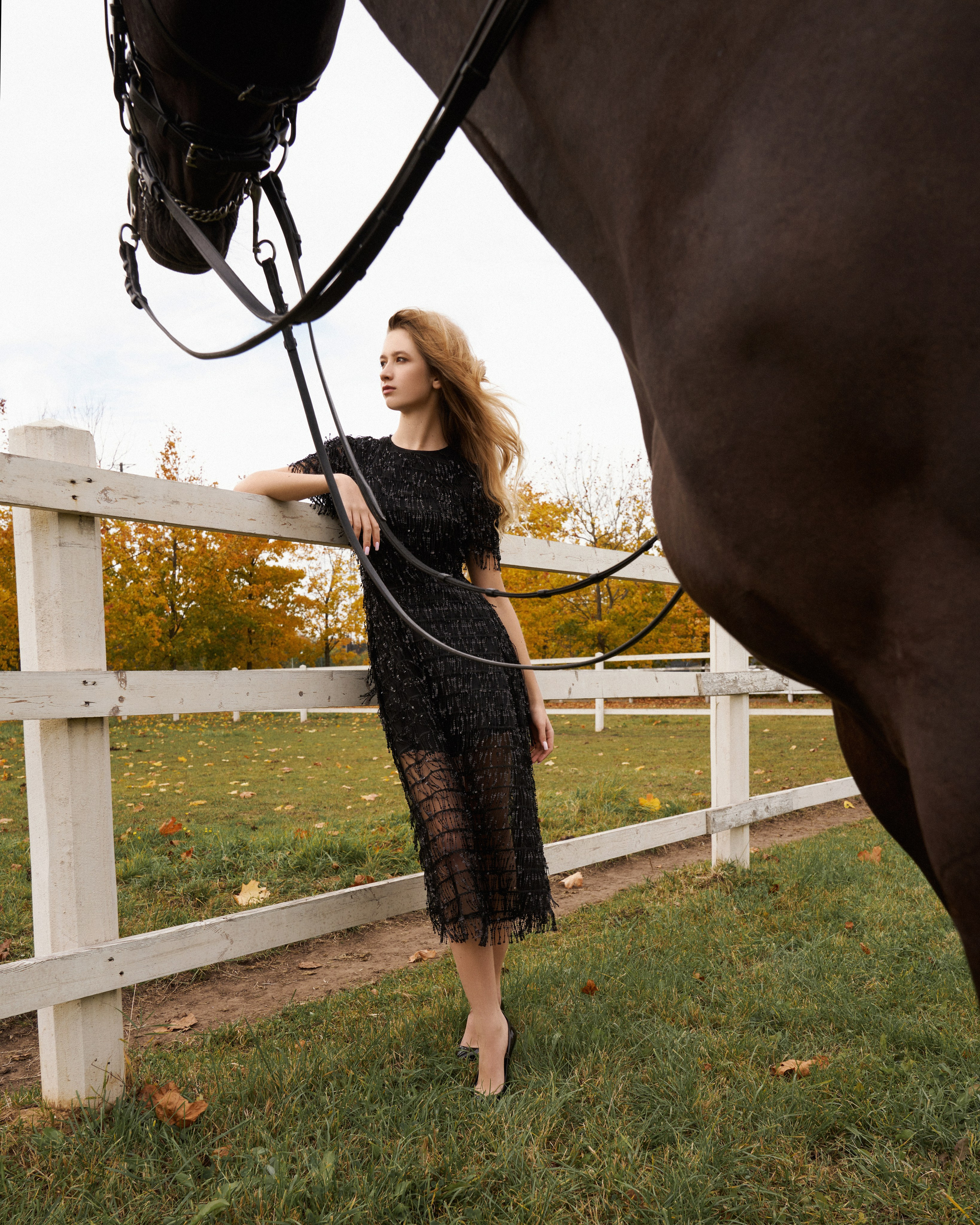 Конные съемки. Фотограф Москва Кристина Джоанна