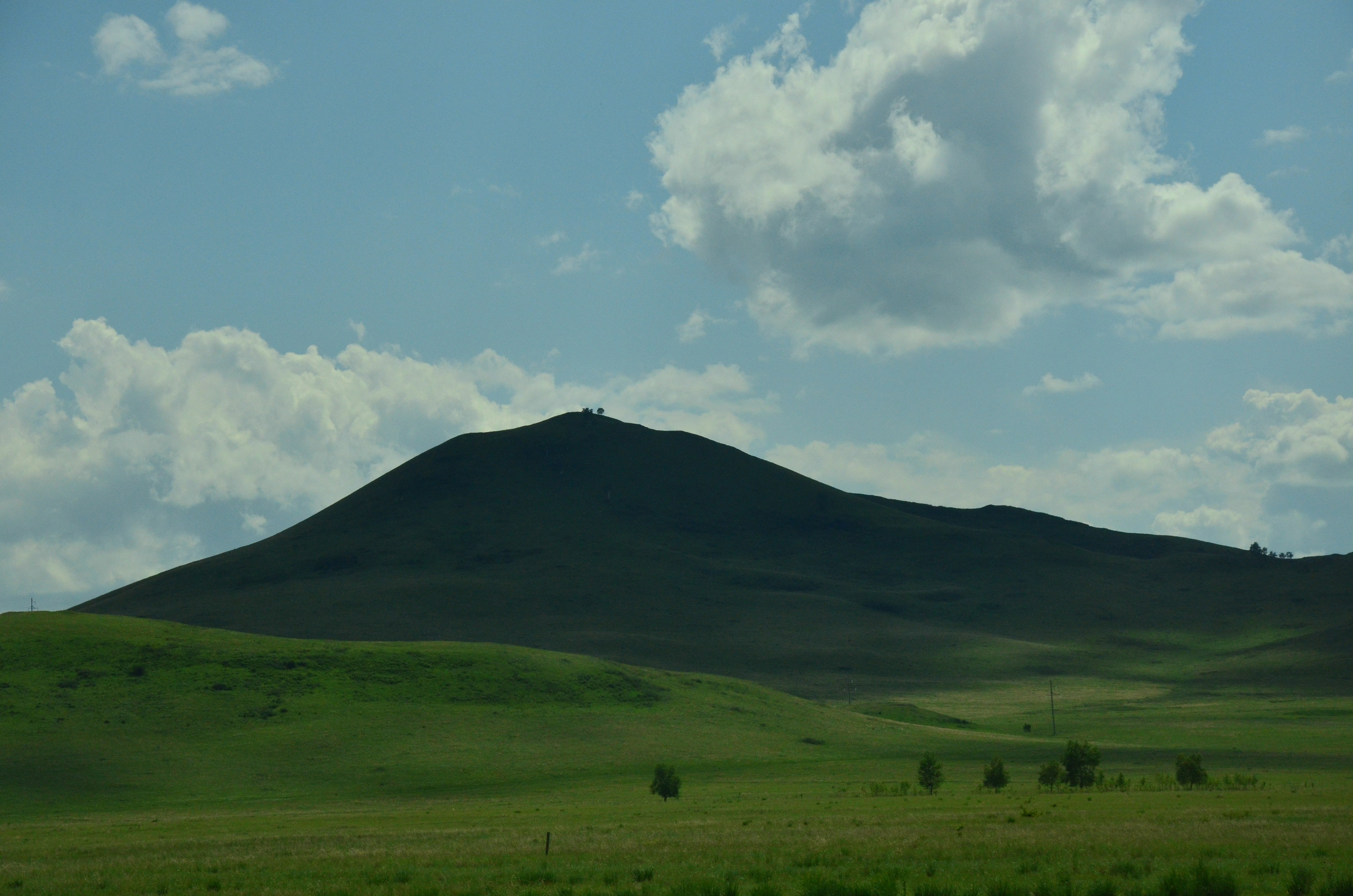 Дары природы. Фотограф viktor viktor