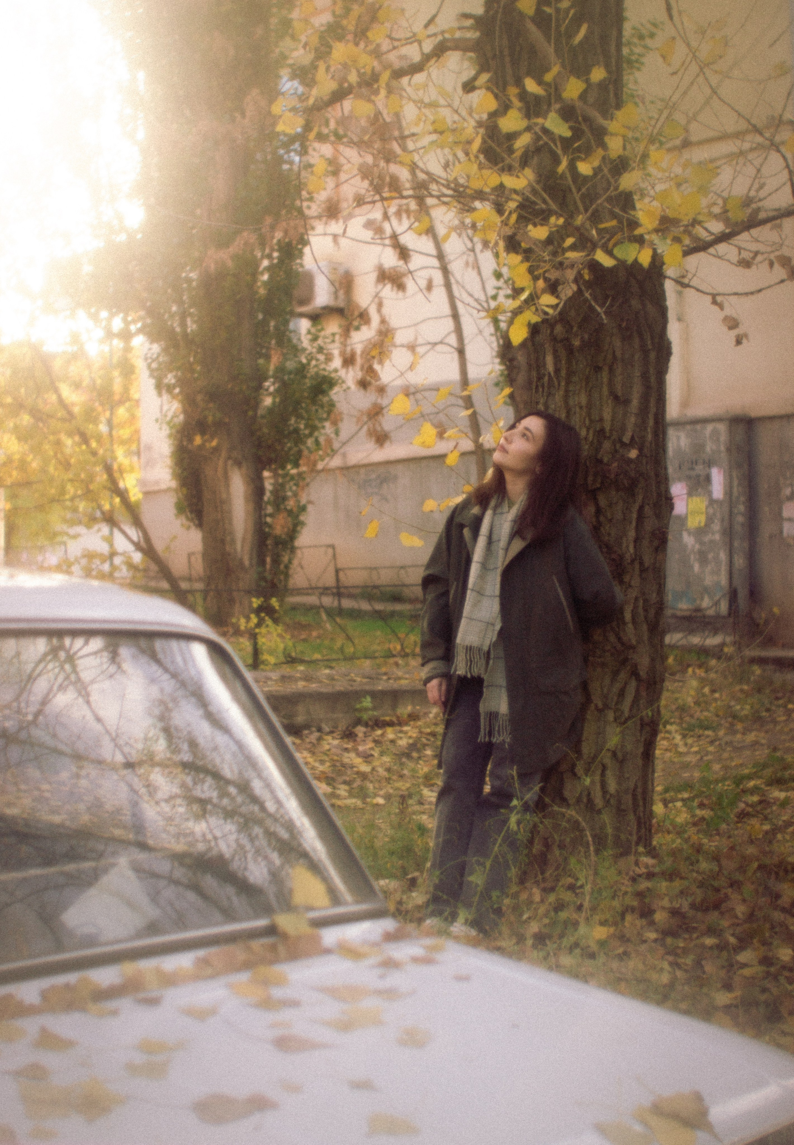 Аромат осеннего света. • Фотограф Александра Светозар Алчевск •