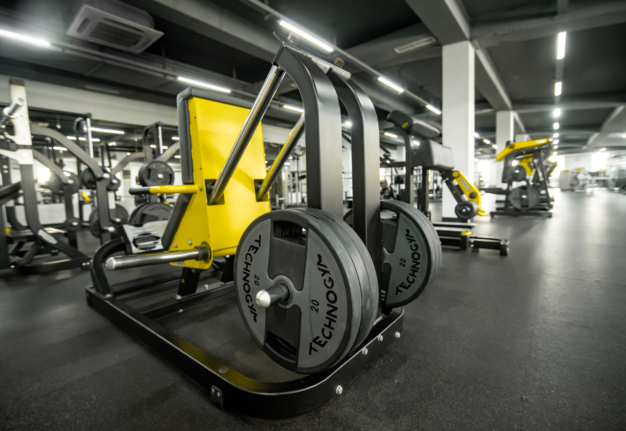 Alex Fitnes. Главная