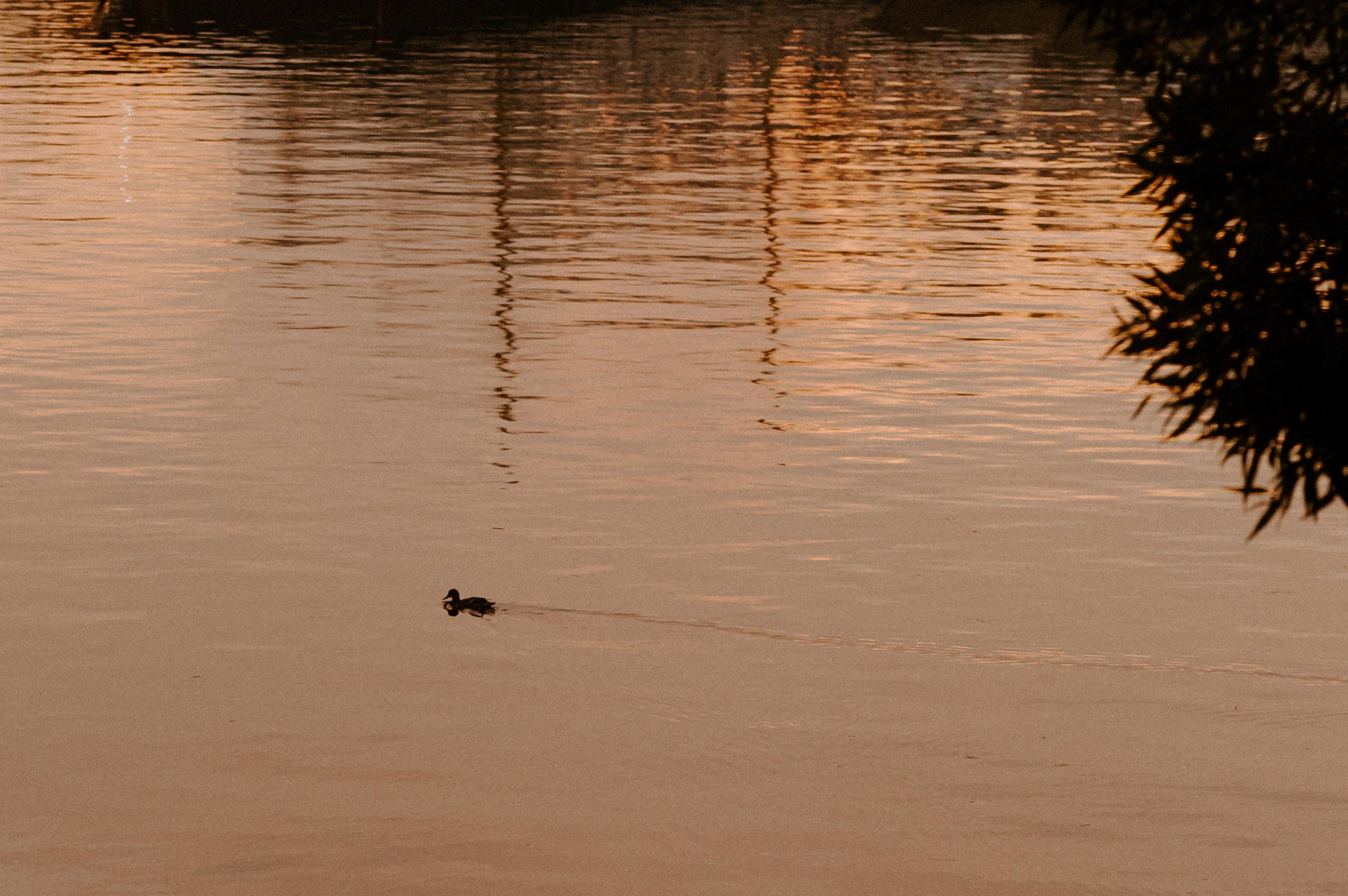 2021.09.23 Мария и Павел (МСК). Свадебный фотограф Абрамова Ксения