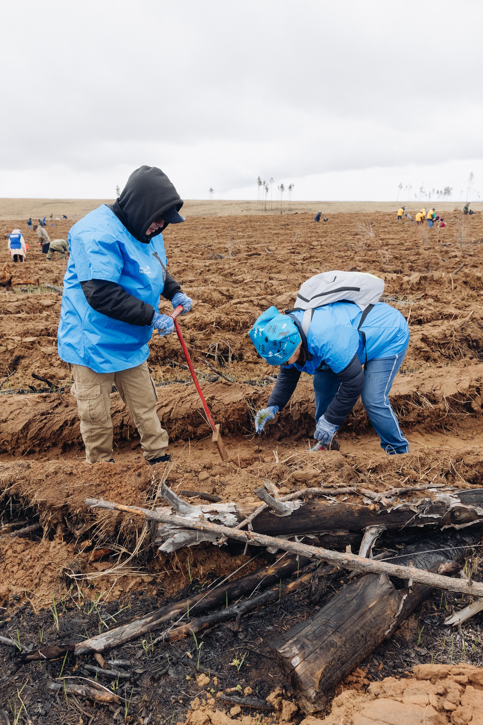 Siberian wellness. Ежегодная акция по посадке деревьев. Свадебный и семейный фотограф в Улан-Удэ