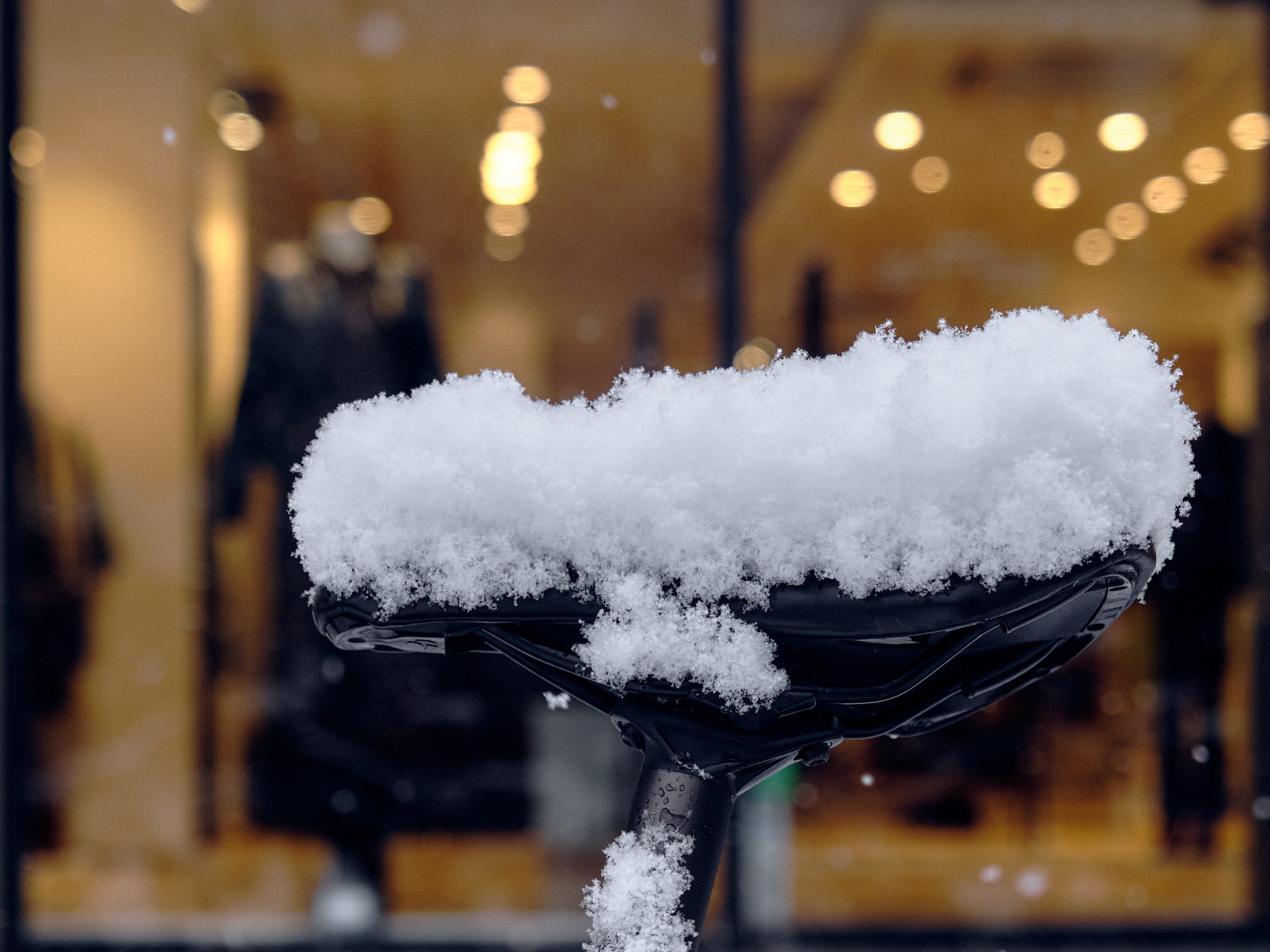 Geneva / winter 2024. Aleksandr Kobtsev