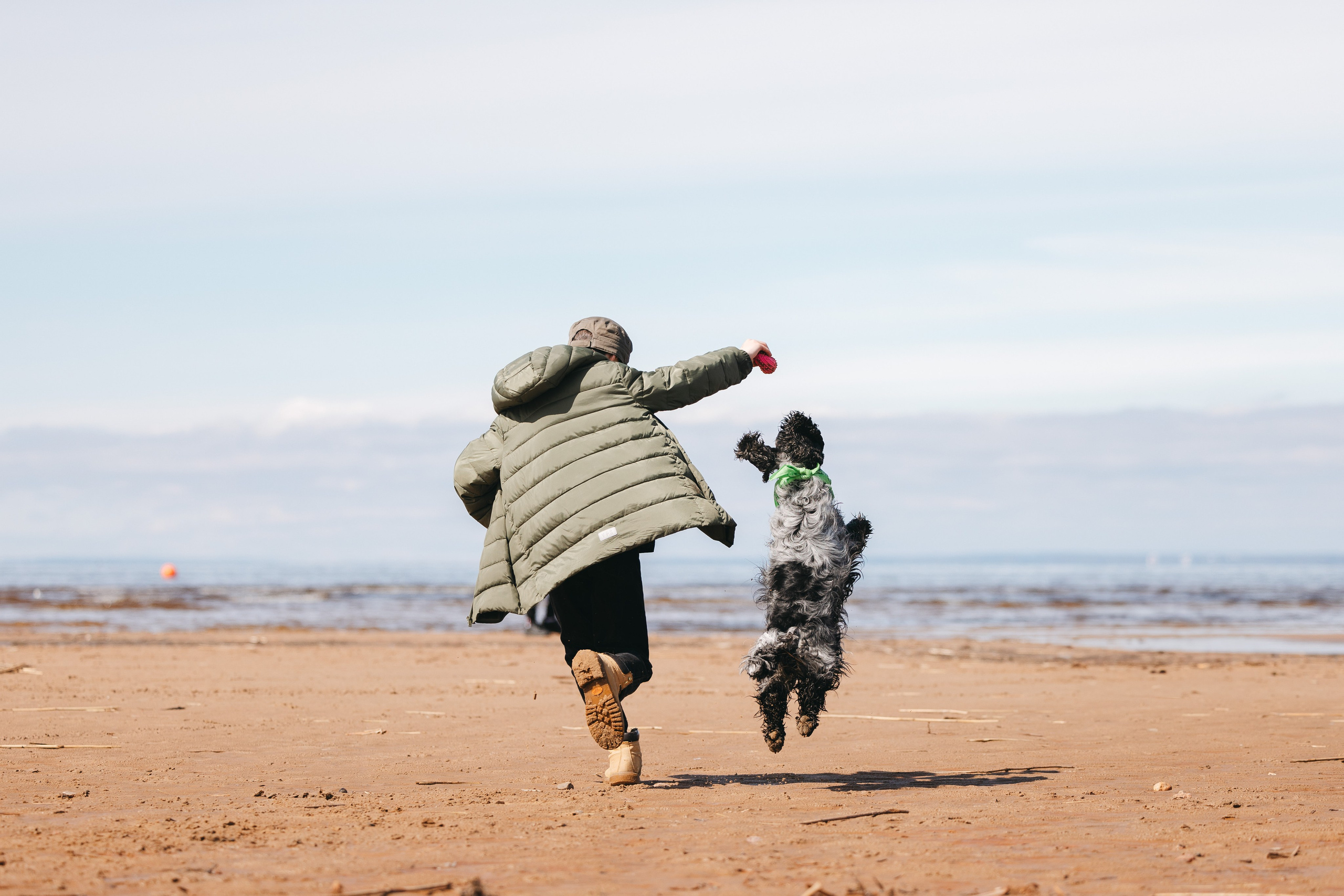 Спанимания. Фотограф анималист Осипчикова Мария