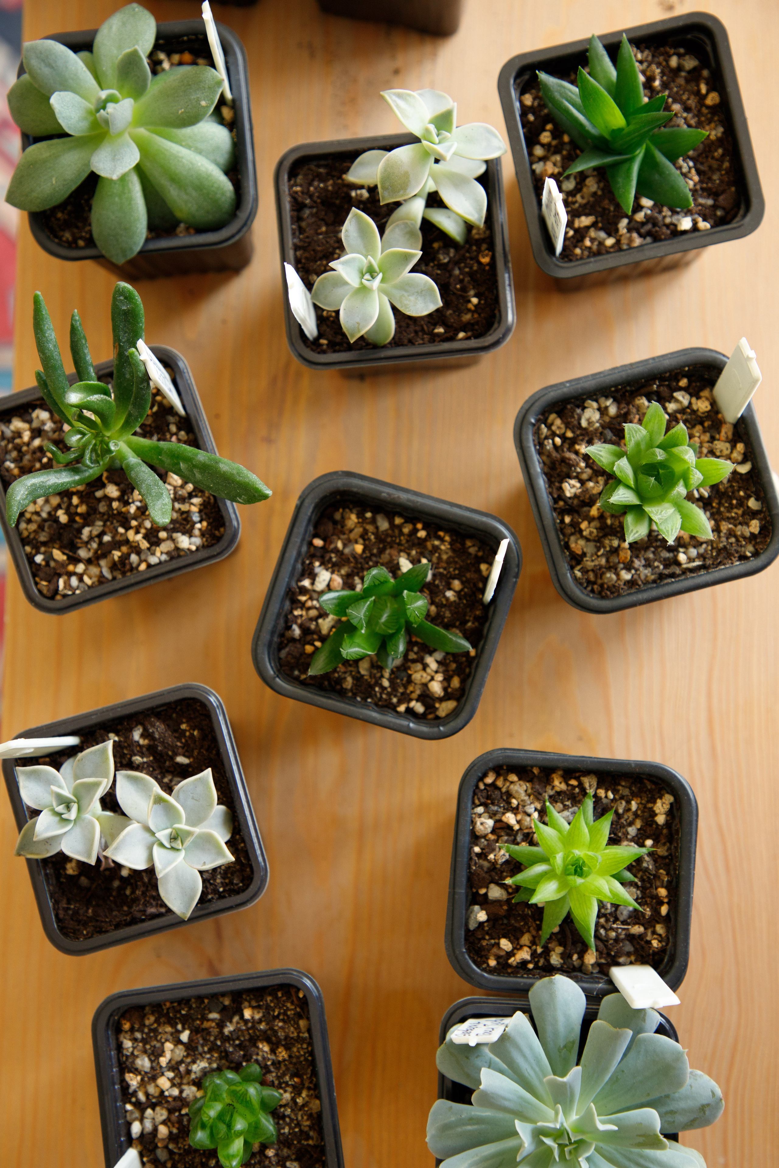 Для Екатерины девичник в Керамисте. Семейный и женский фотограф в Ростове-на-дону и Таганроге Мастерова Мария