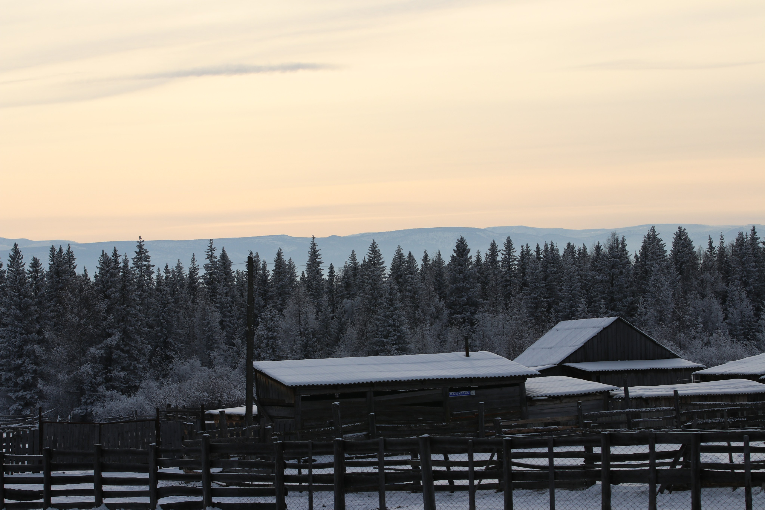 Аршан. Январь 2024. Путешественник-фотограф из Санкт-Петербурга Татьяна Свистулина