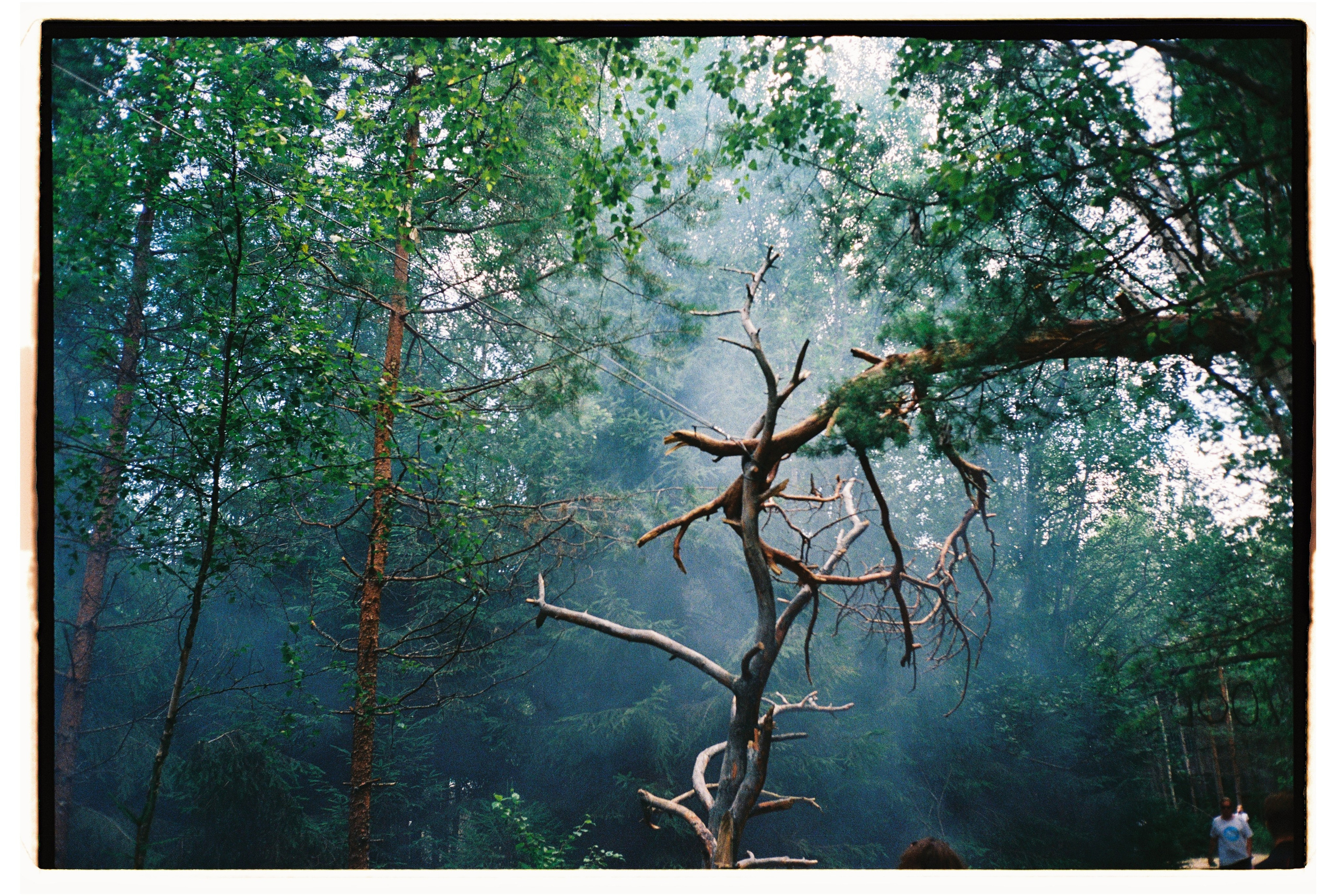 Outline 2024. @tomrus: Рустам Шагиморданов — фотограф