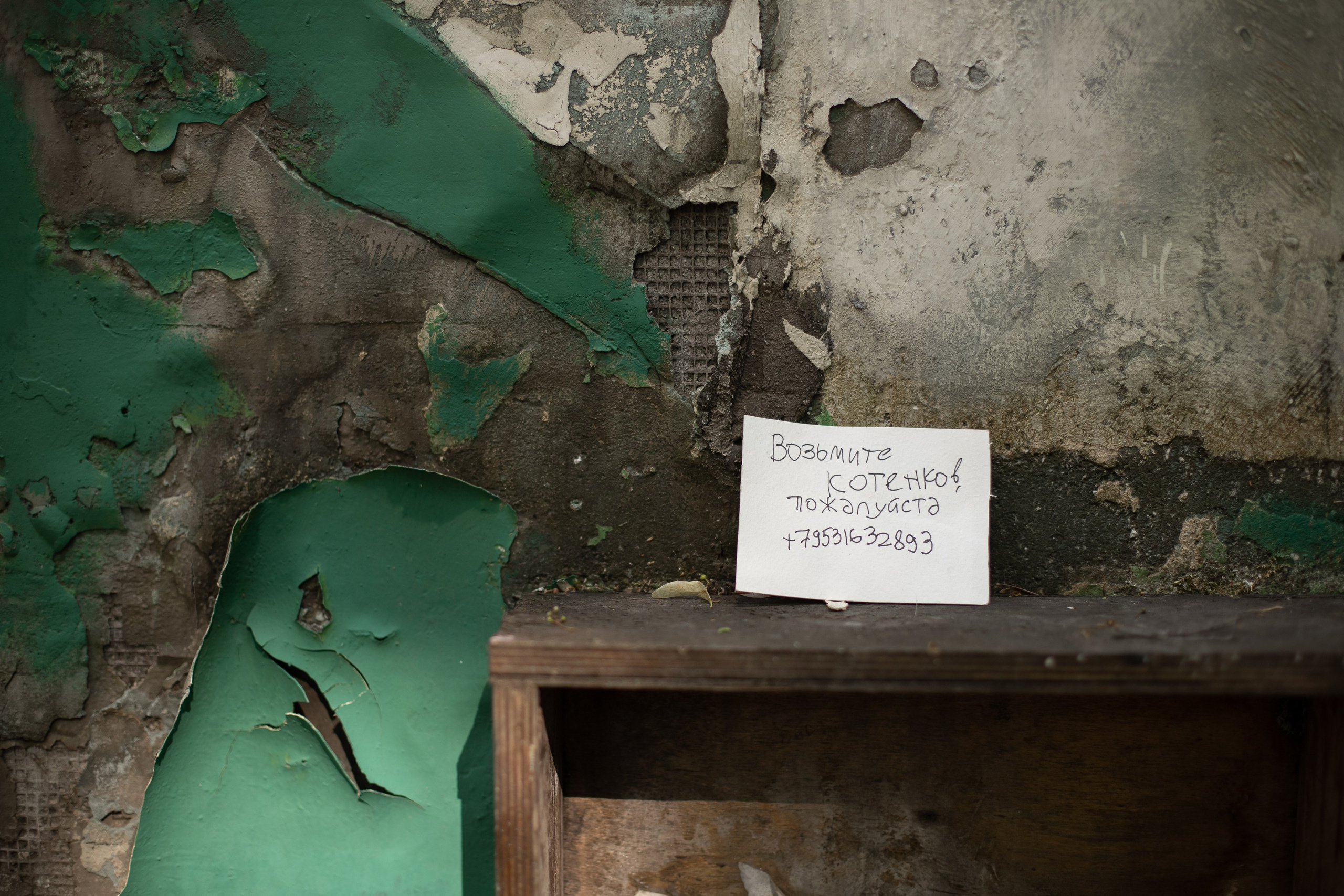 Мы не хотим позировать. Свадебный и семейный фотограф Арина Кулёва