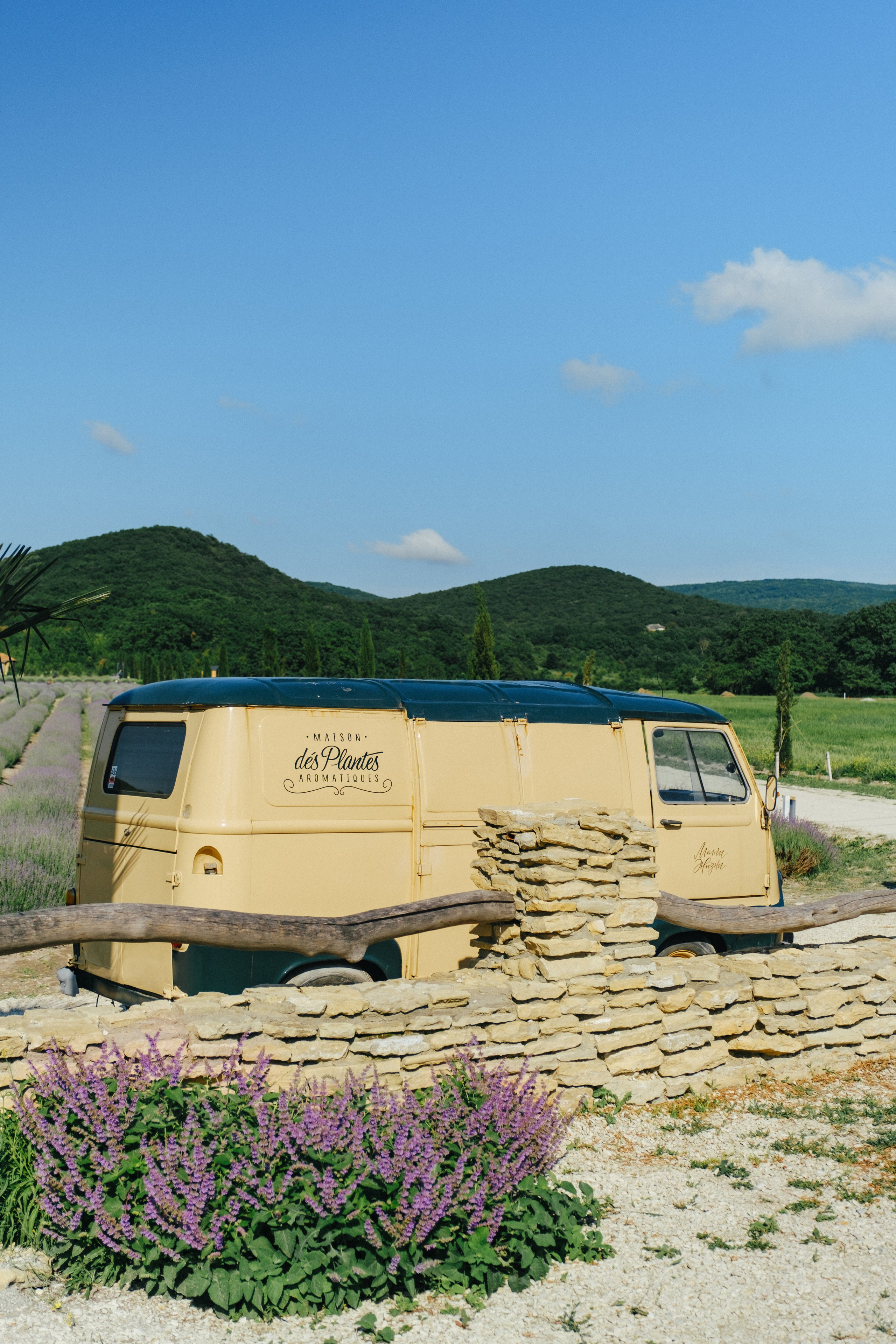 Лавандовые поля-Maison de Plantes. Свадебный Видеограф Фотограф в Сочи