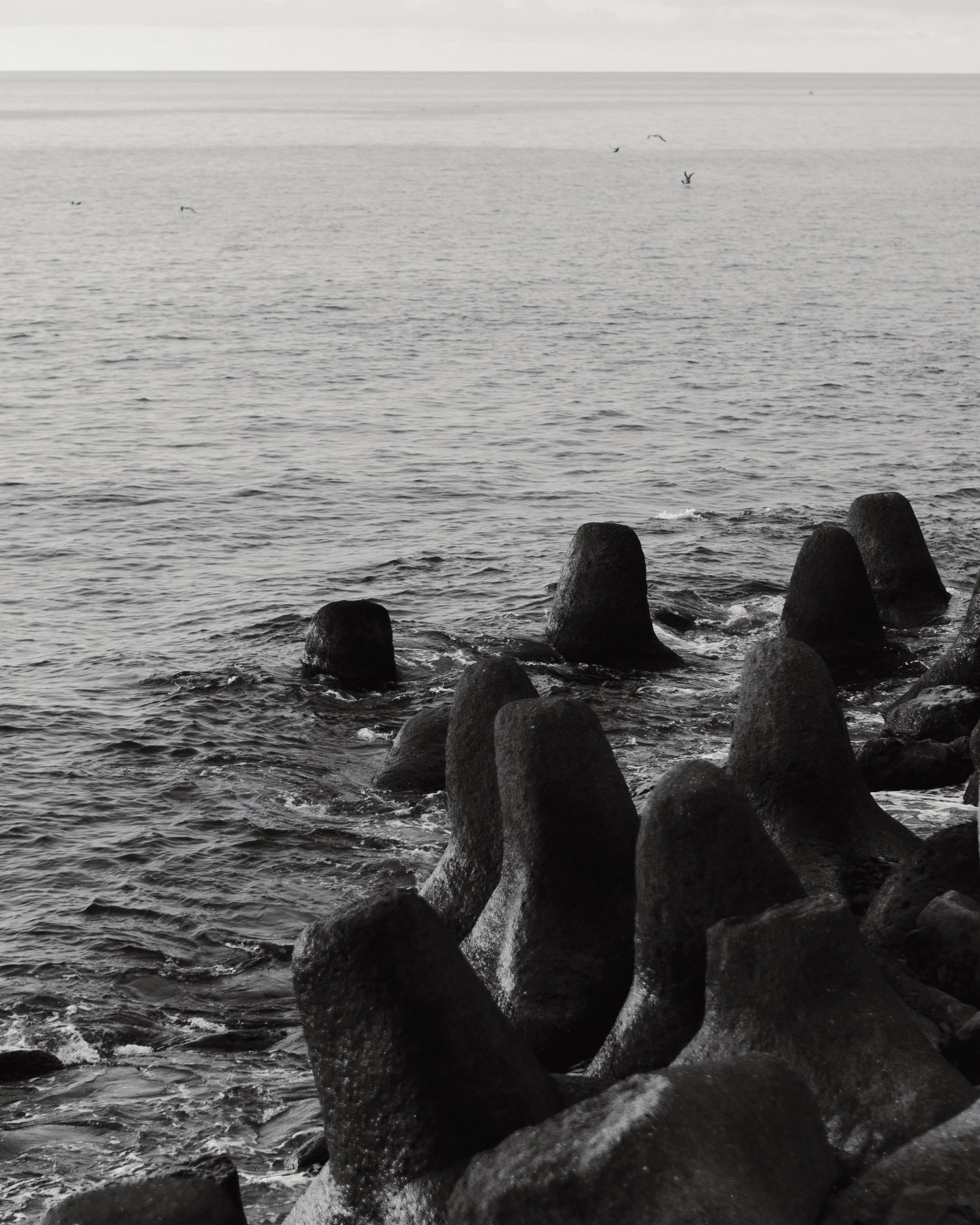 ALINA | SARPI. Photographer Barcelona