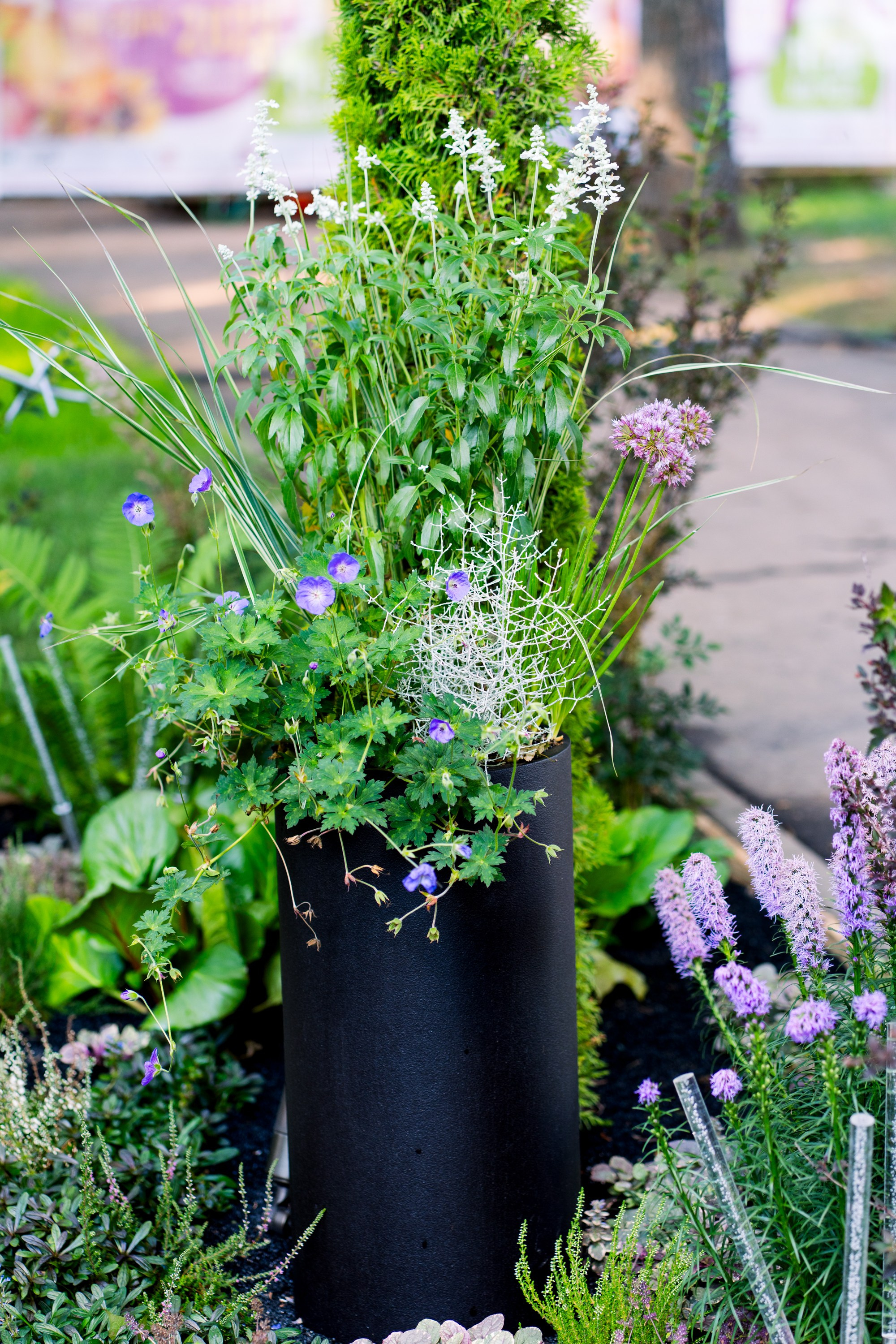 Сад Плеяд. Студия ландшафтного дизайна в Москве. Love My Garden