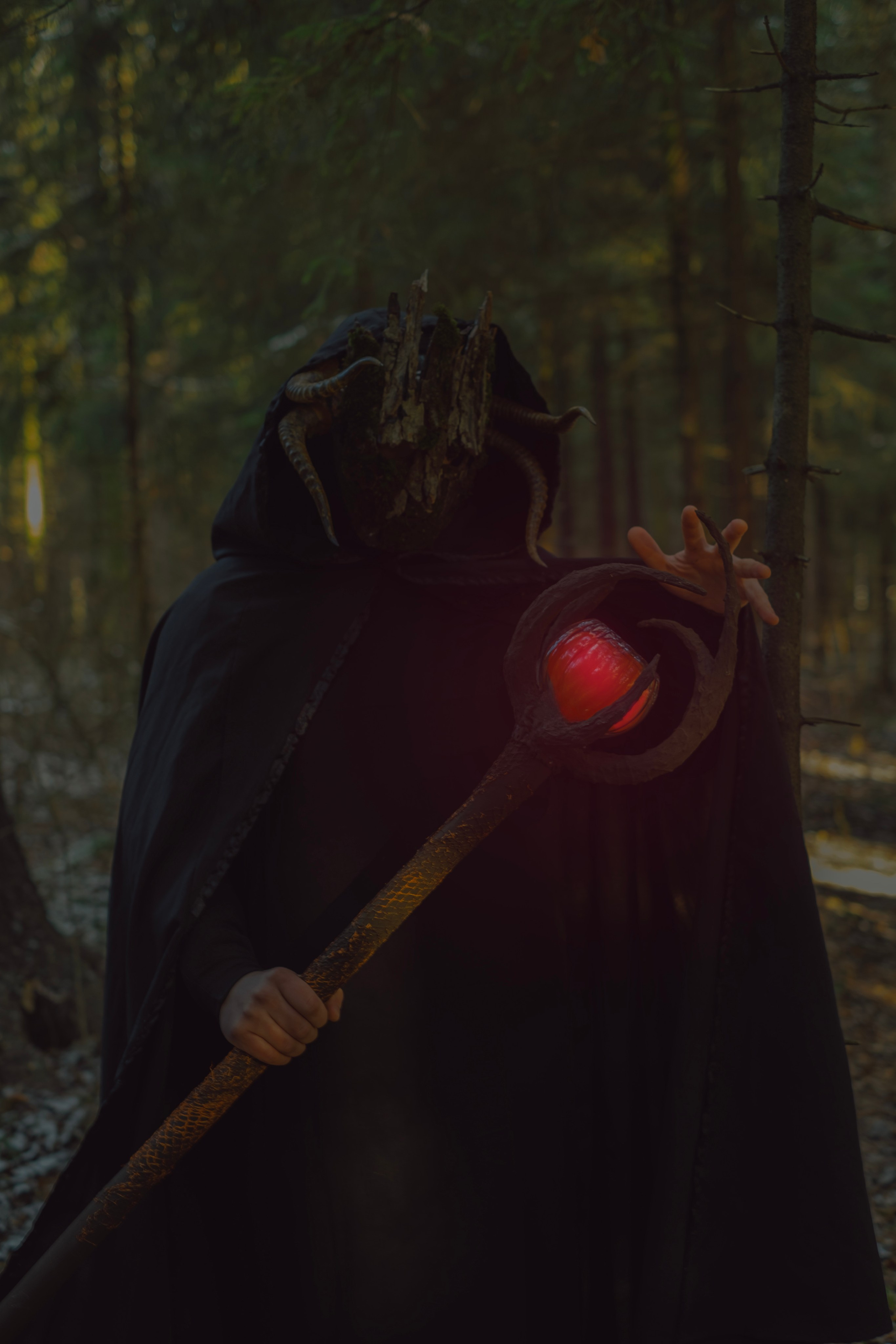 «Дух леса». Фотограф (Москва, Мытищи)— Комова Анастасия