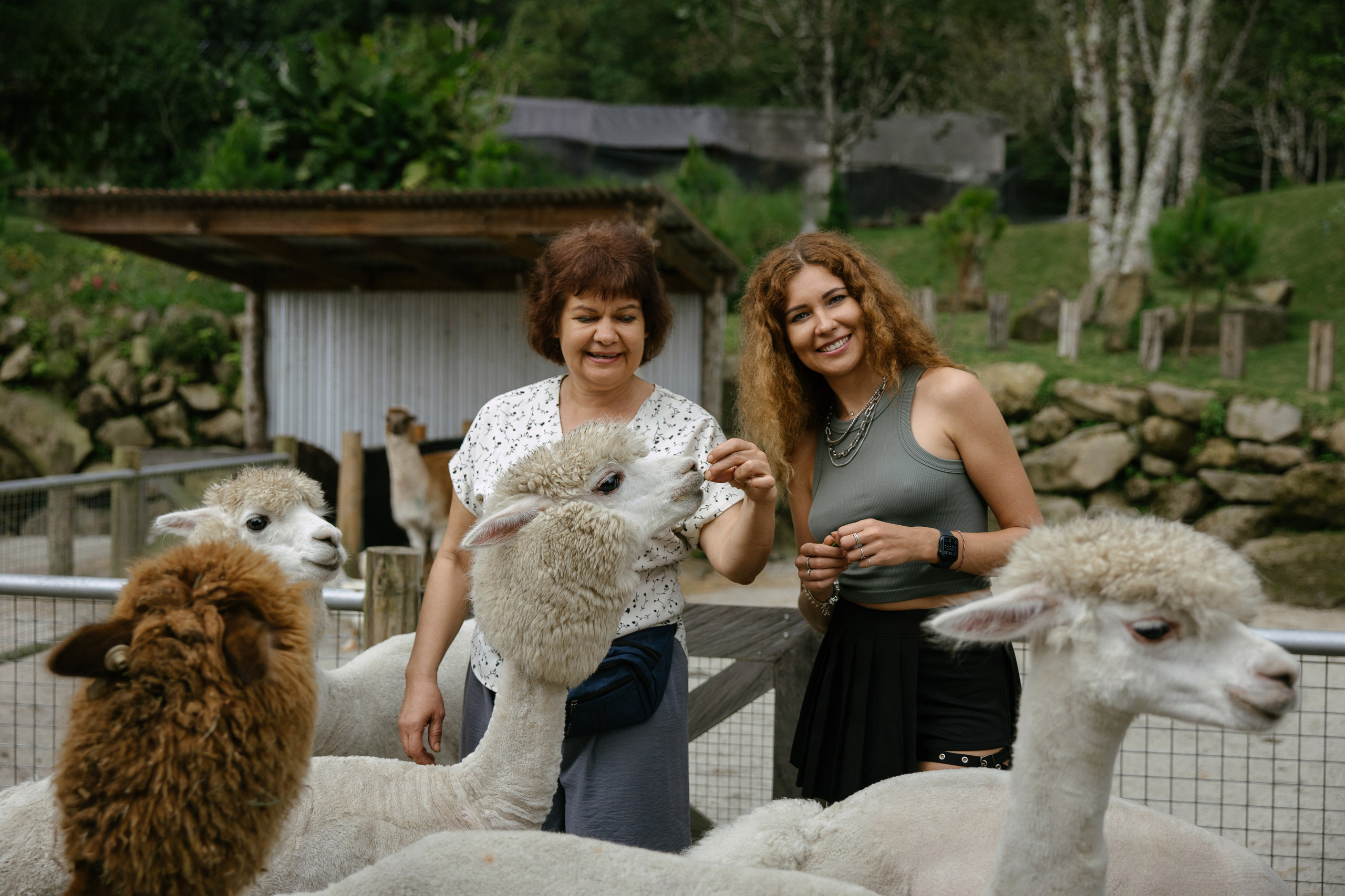 North trip. Профессиональный фотограф Нурмиева Вероника