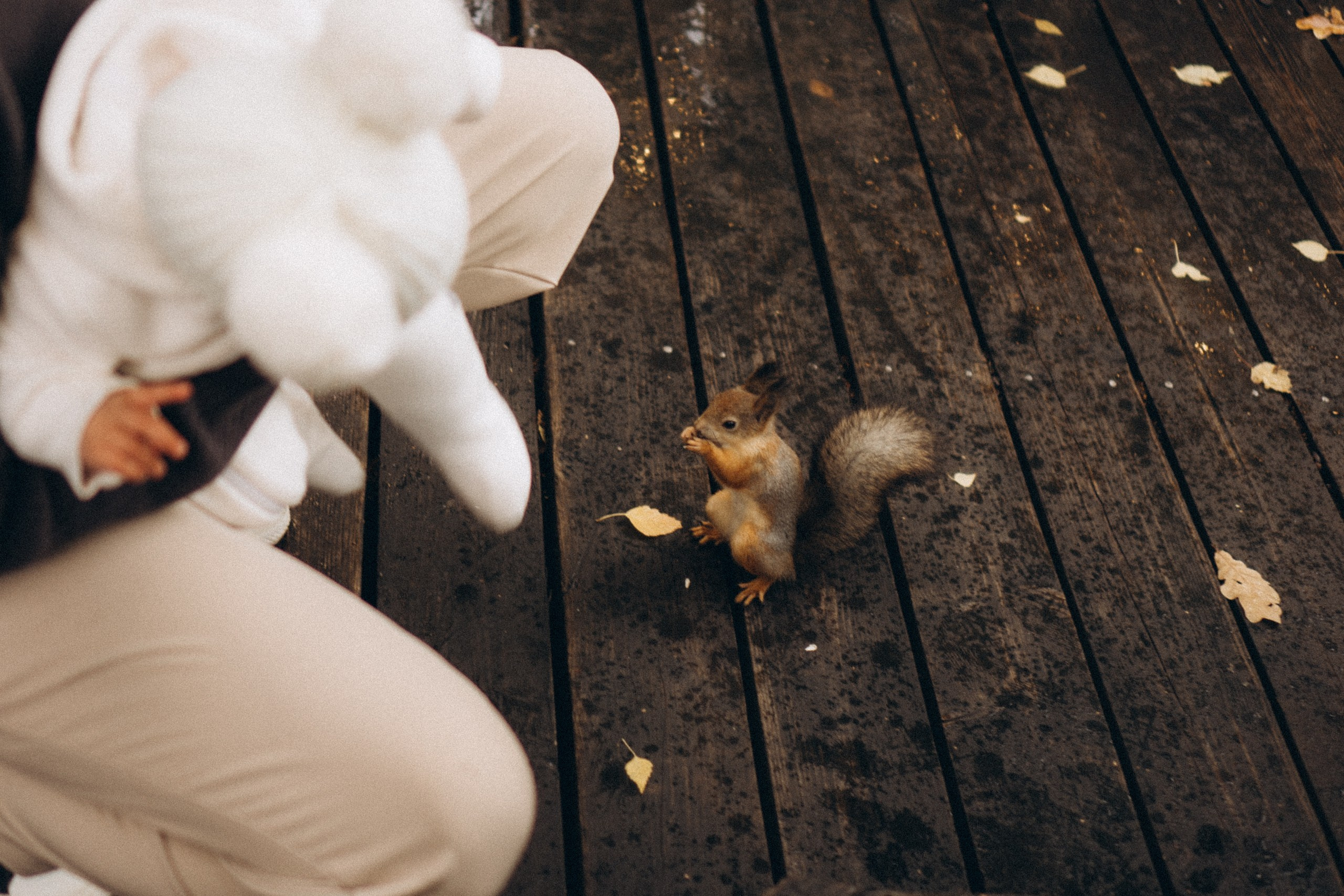 День рождения малышки. Профессиональный фотограф, Санкт-Петербург — Виктория Богомолова