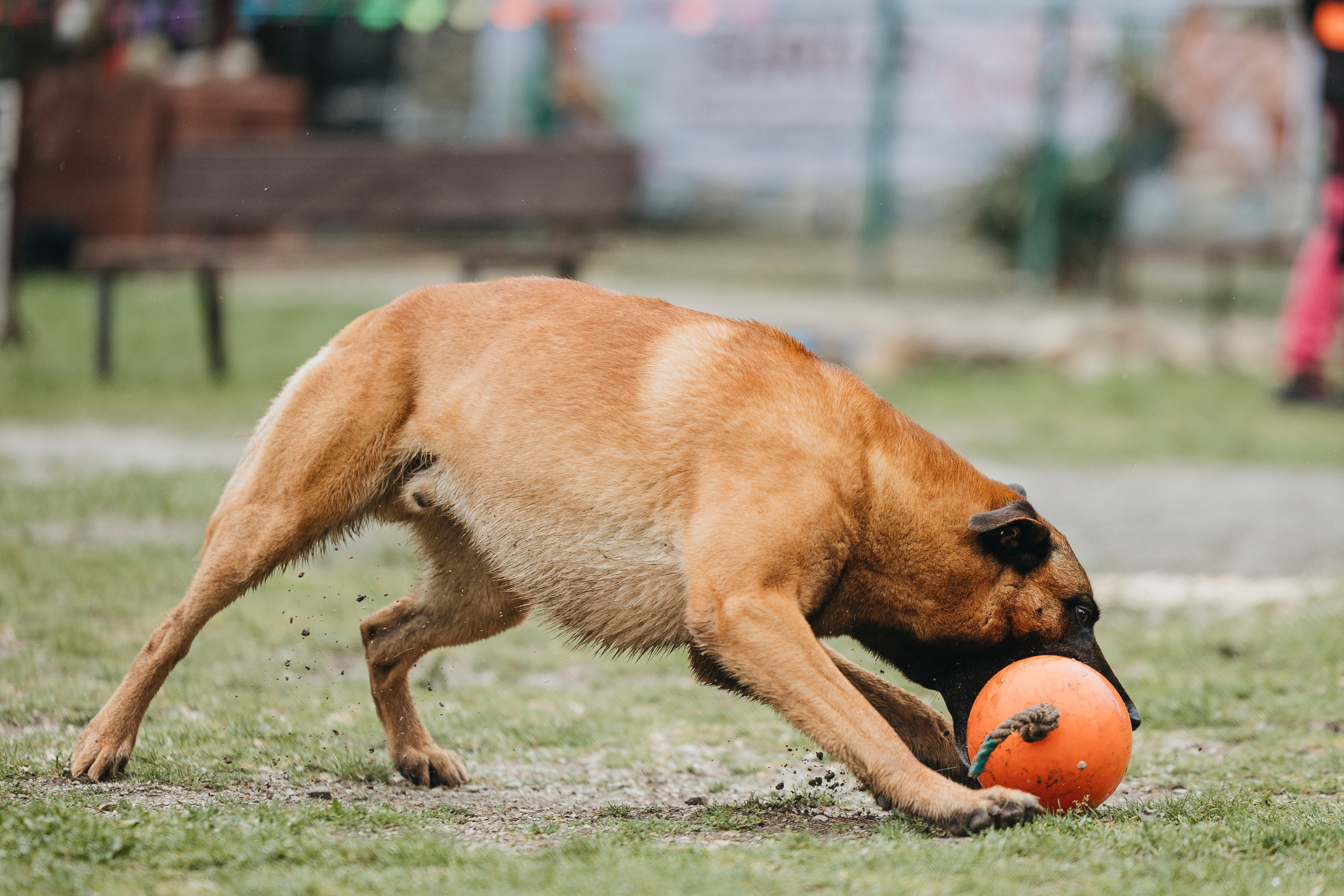 Геленджик Мондьоринг. Фотограф-анималист Анна Маринич