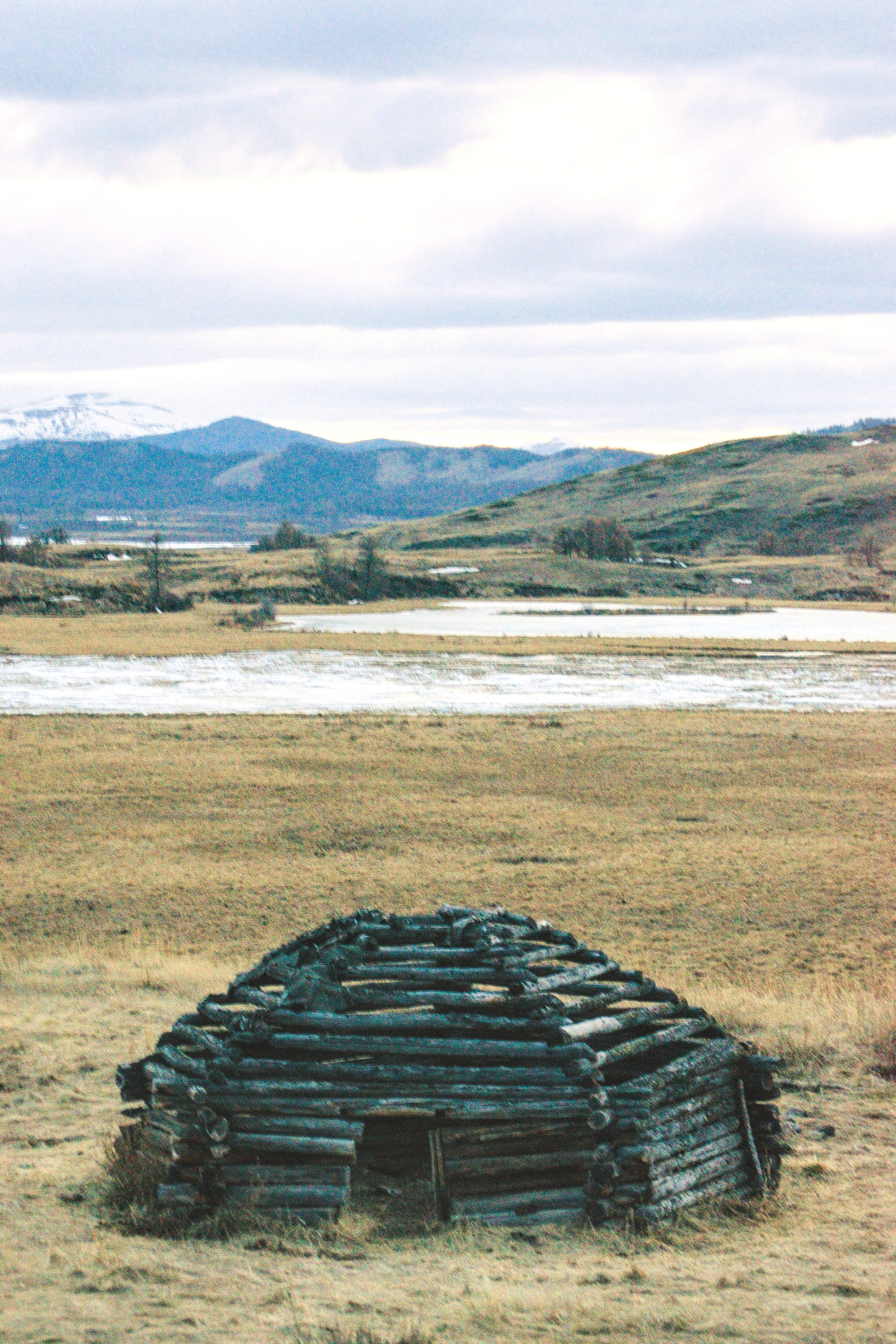 Джангысколь. Фотограф анималист, пейзажист, спортивные мероприятия. Новосибирск
