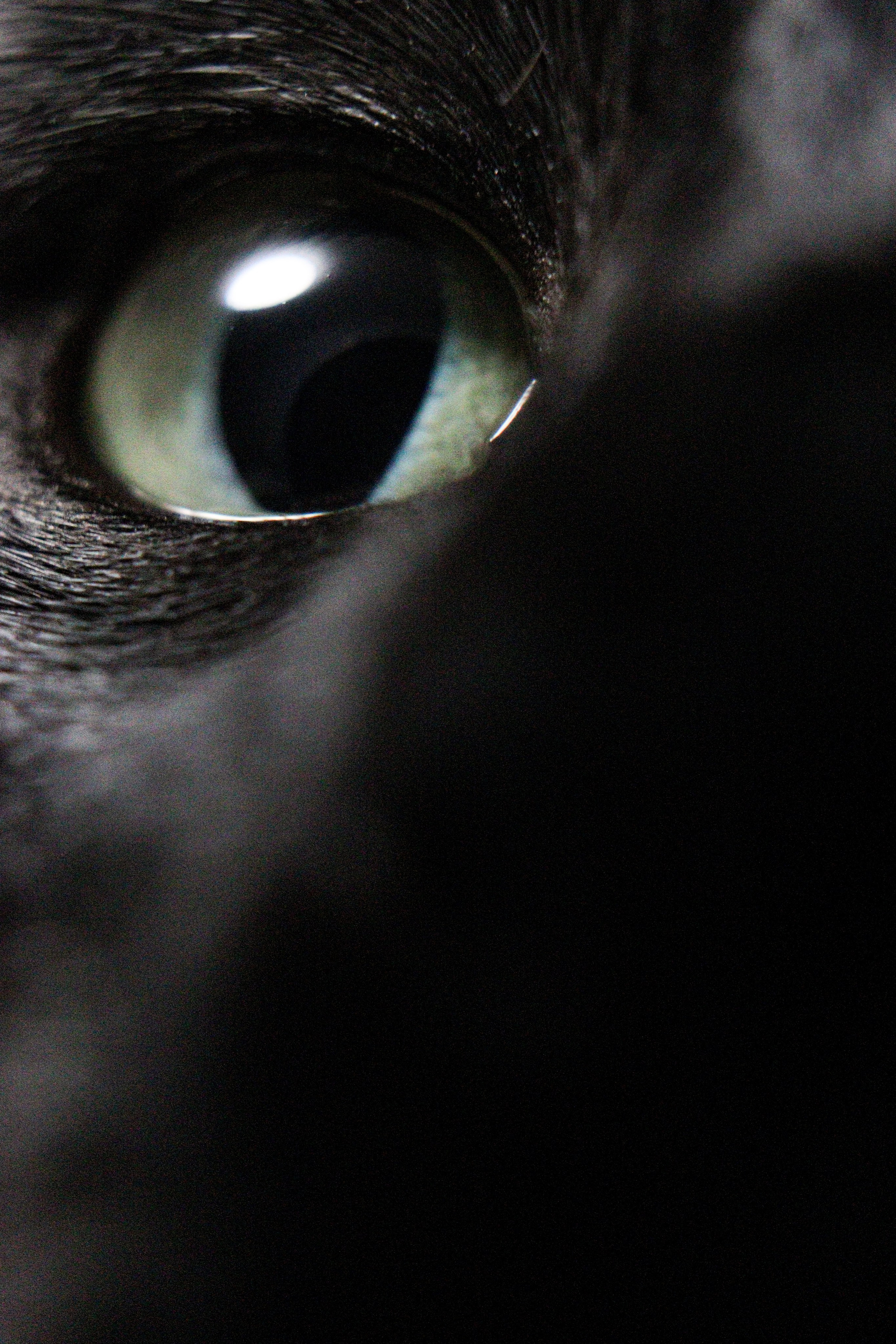 Л Ю Ц И Ф Е Р. — Digital Noise —