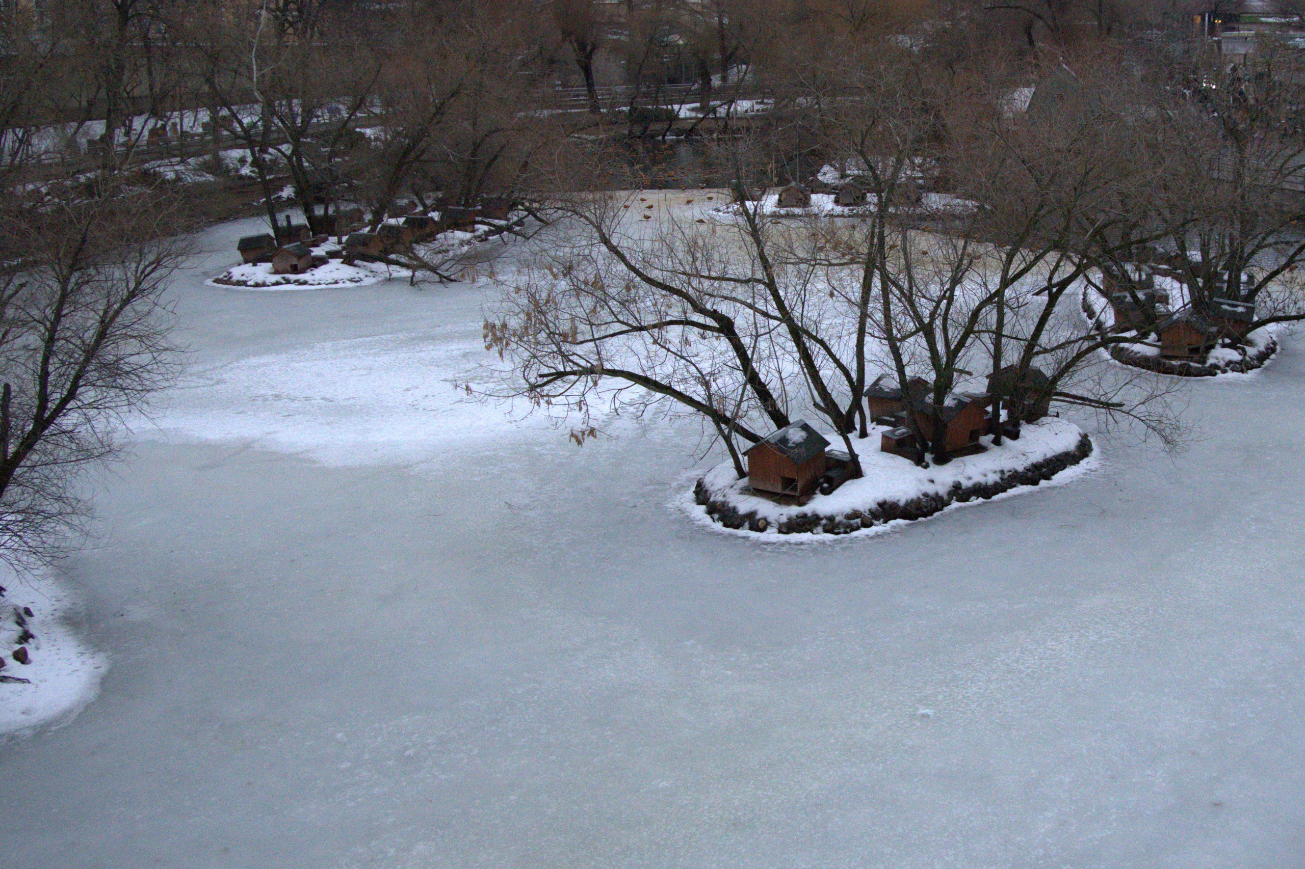 ЗООПАРК. ФОТОГРАФ В МОСКВЕ СТАНИСЛАВ КОБЗЕВ