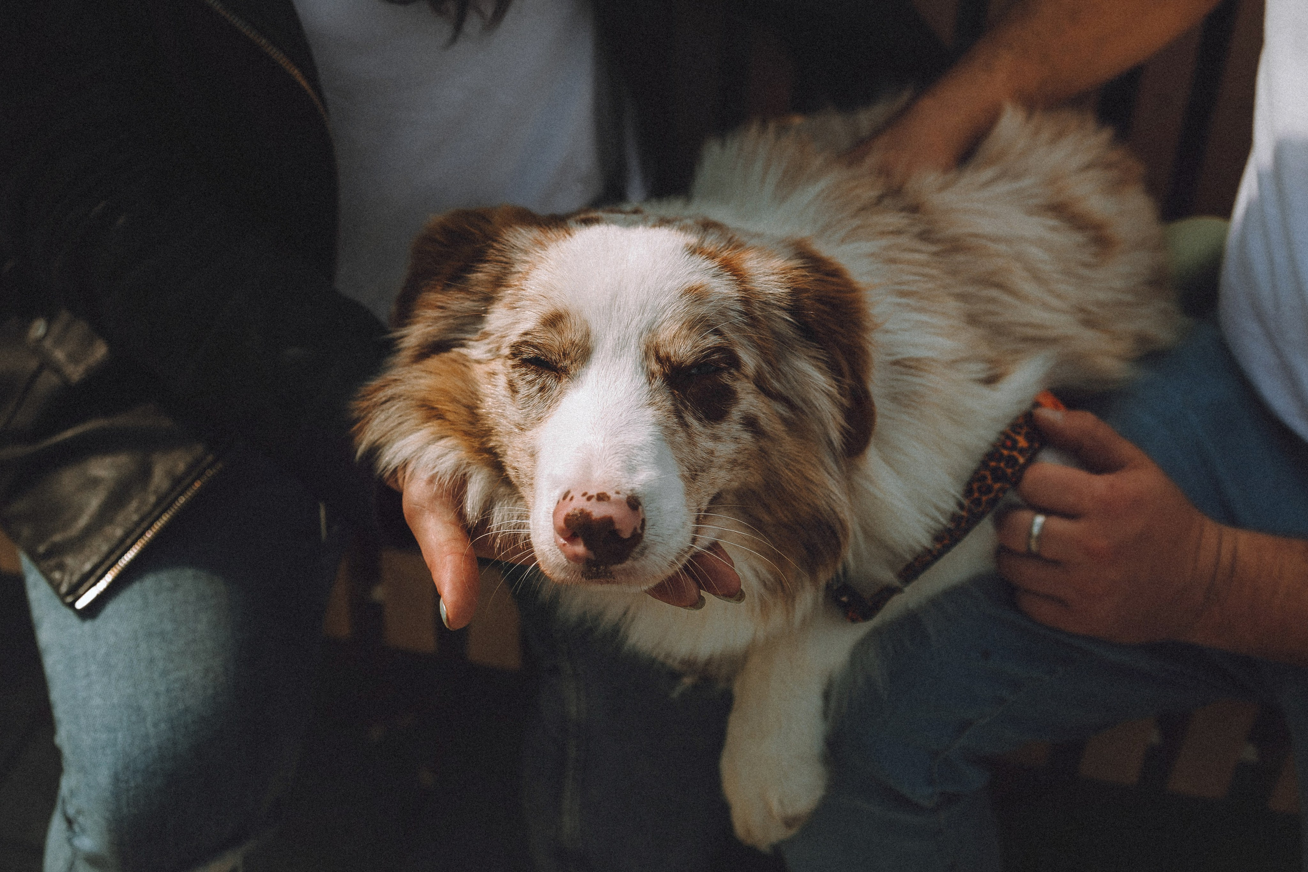 Один и его семья