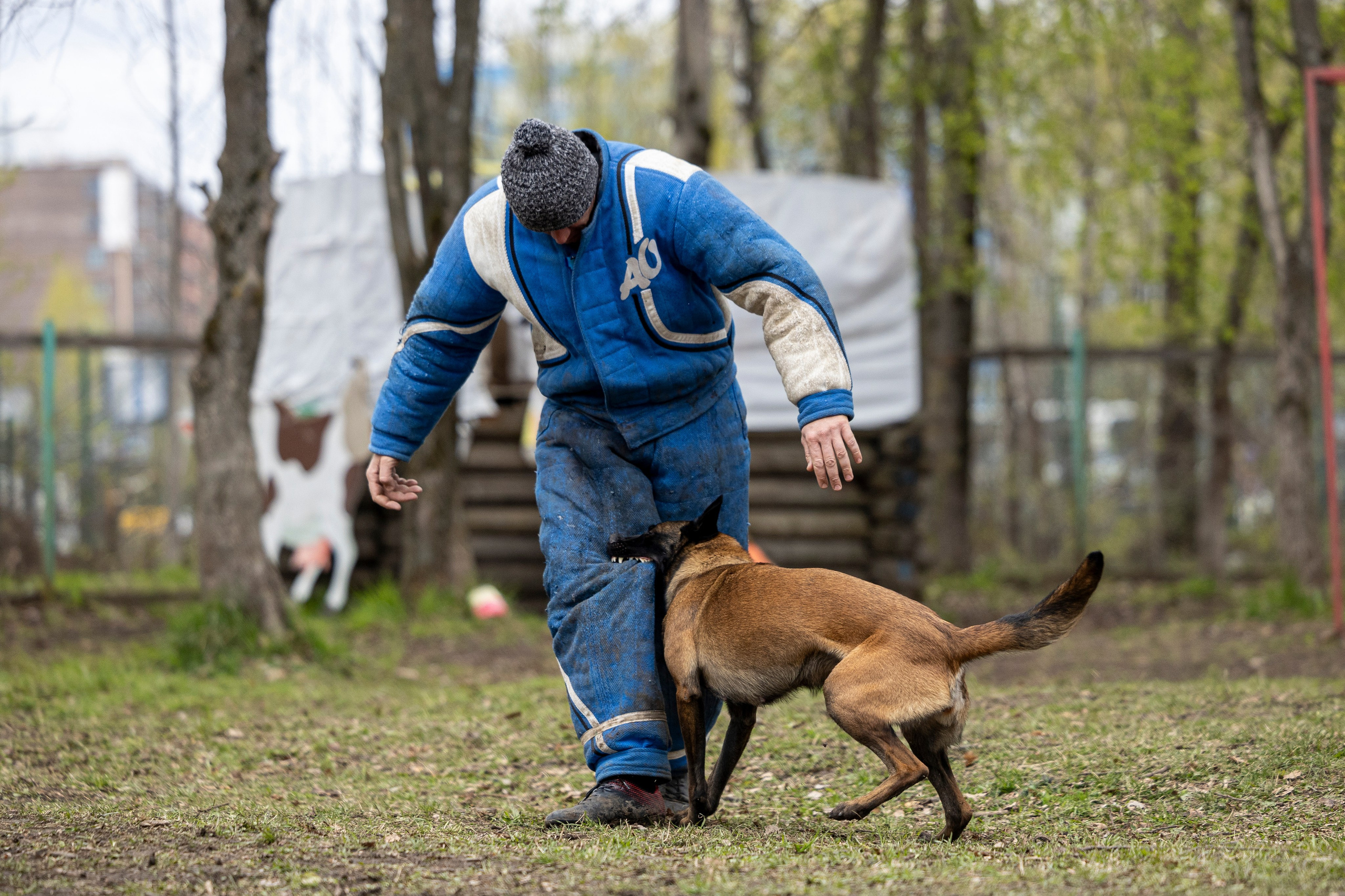 Квалификационные состязания по мондьорингу г. Вологда 11.05.24. Фотограф-анималист Анна Маринич