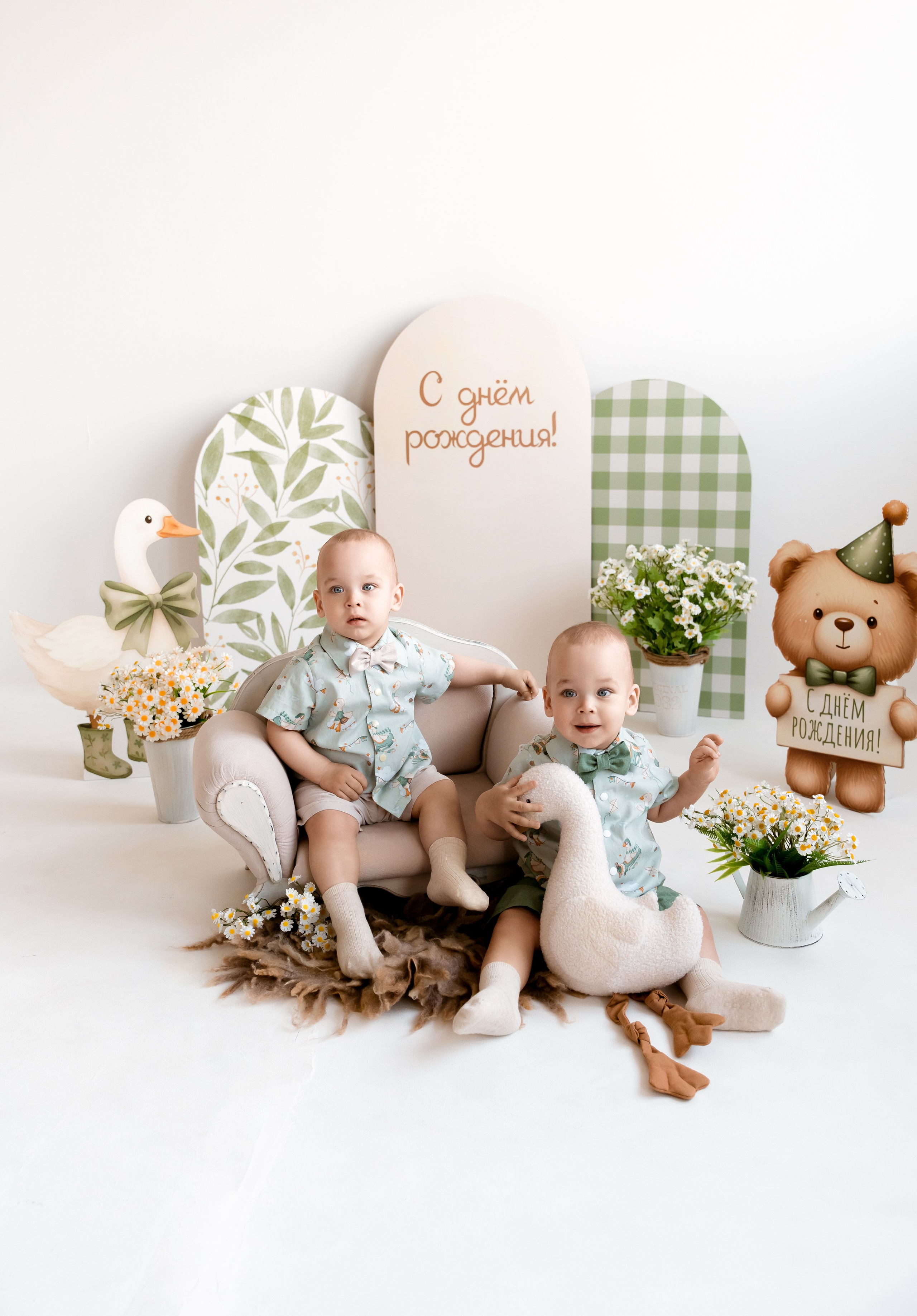 Гуси. Детский и семейный фотограф, Newborn фотограф новорожденных г. Челябинск