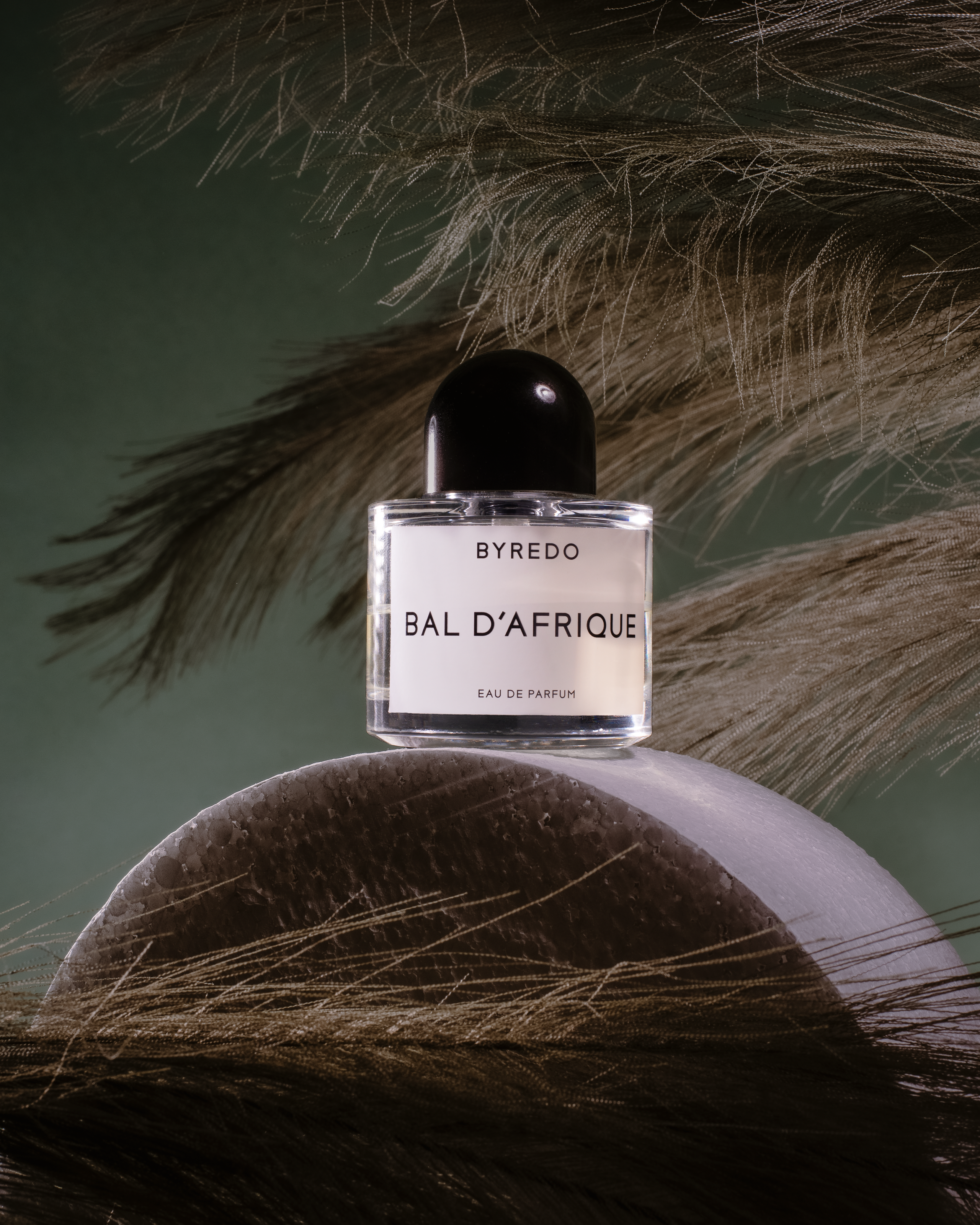 Имиджевая съёмка. Коммерческий фотограф в Москве Билуши Василиса