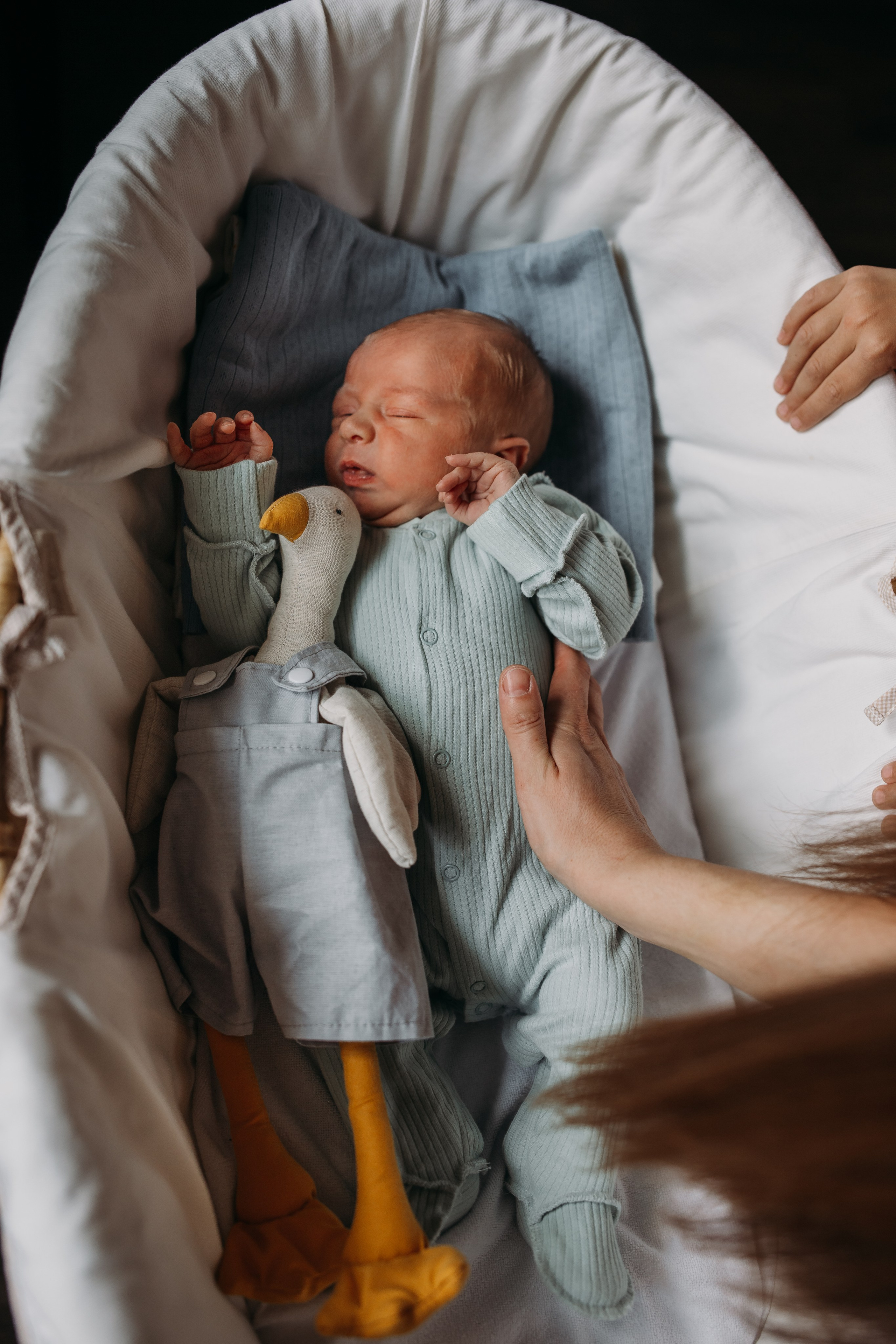 Андрей, Юля, Гриша, Федя. Семейный фотограф в Волгограде Надежда Головко