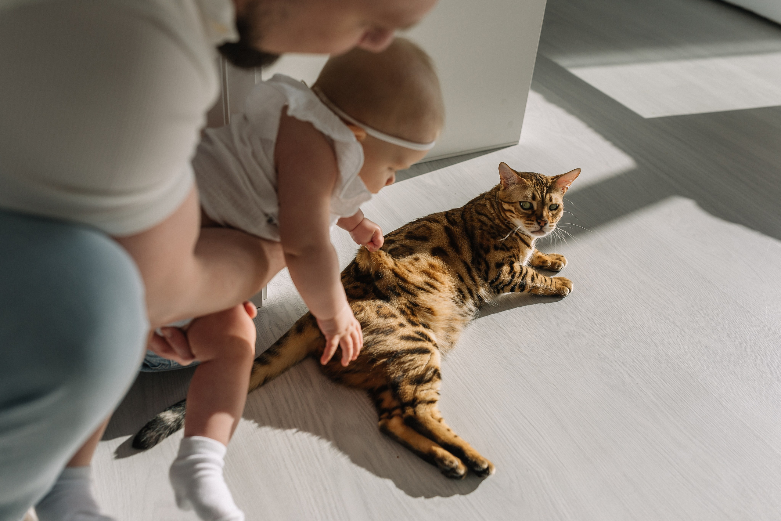 Тима, Мила, Алёша, Алисия домашняя. Семейный фотограф в Волгограде Надежда Головко