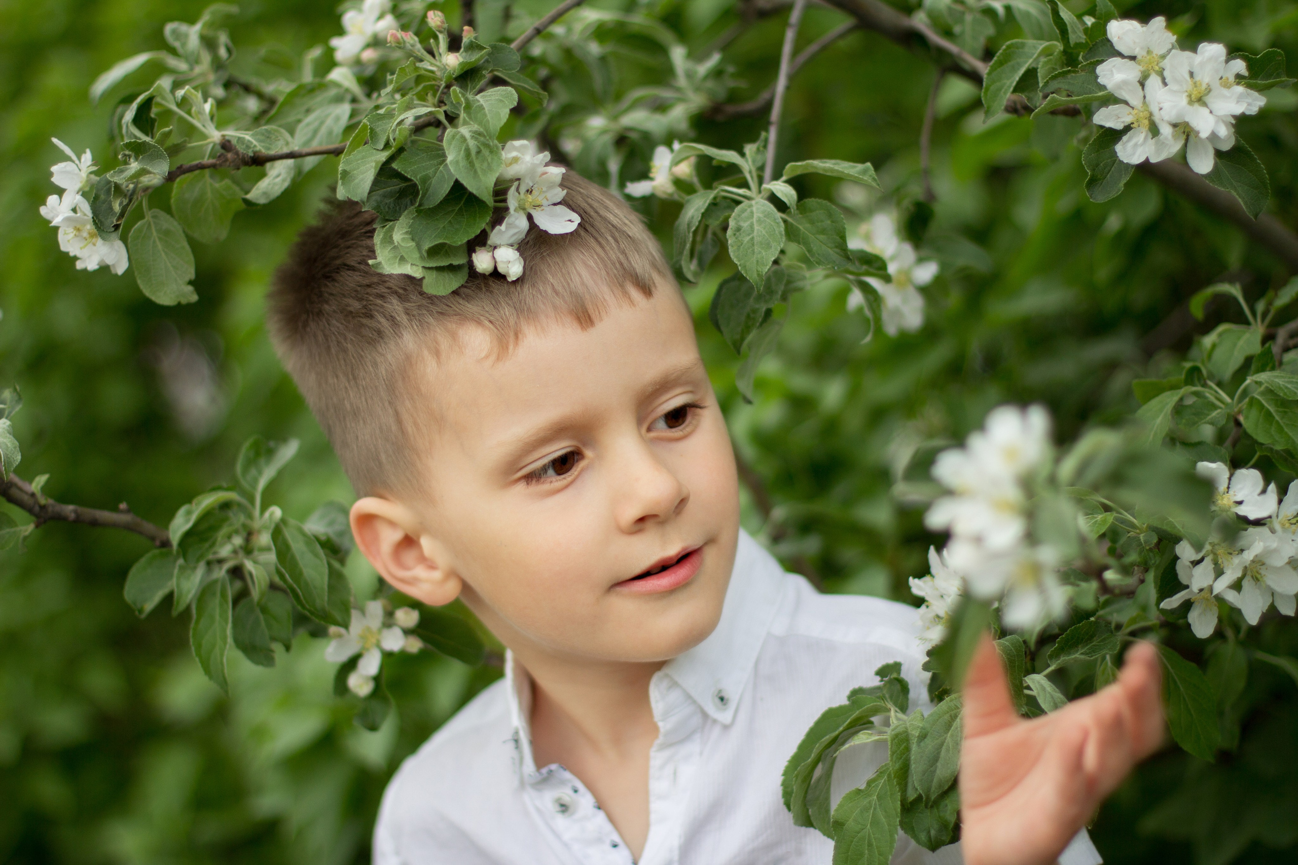 Детская фотосессия. Семейный и детский фотограф в Ярославле Елена Макшеева