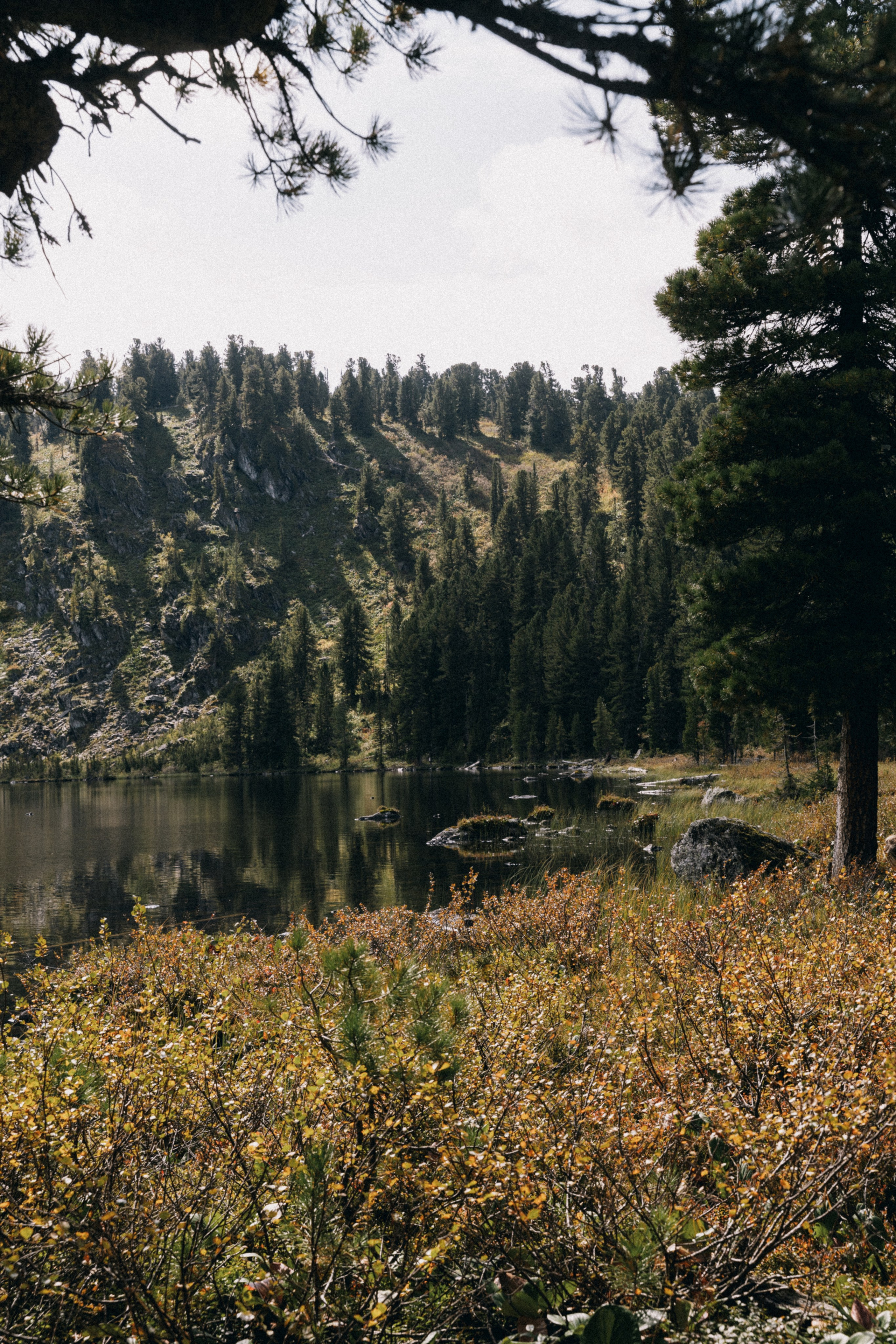 Алтай, природа и эстетика. Александр Чернин. Семейный и событийный фотограф