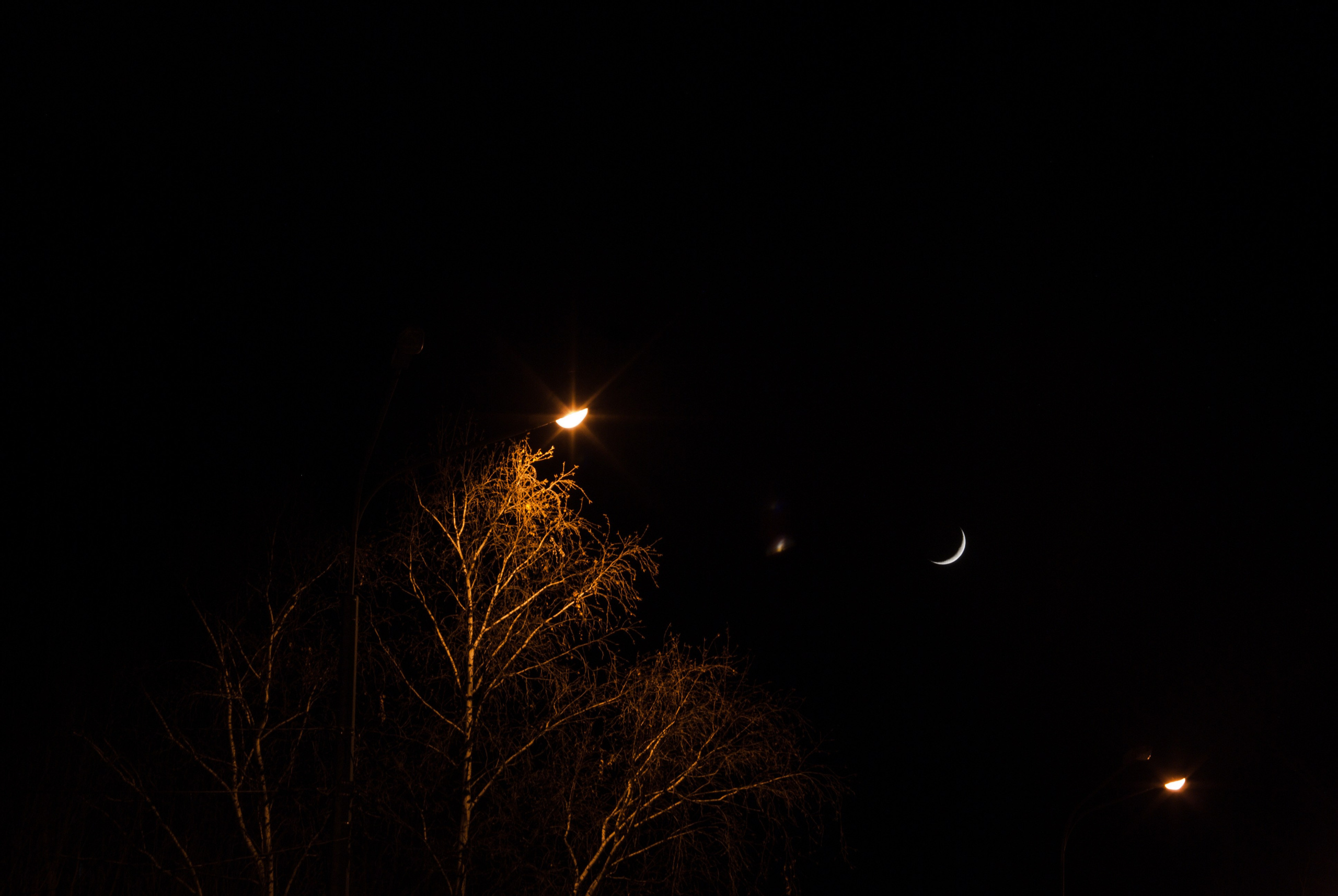 Этот прекрасный мир