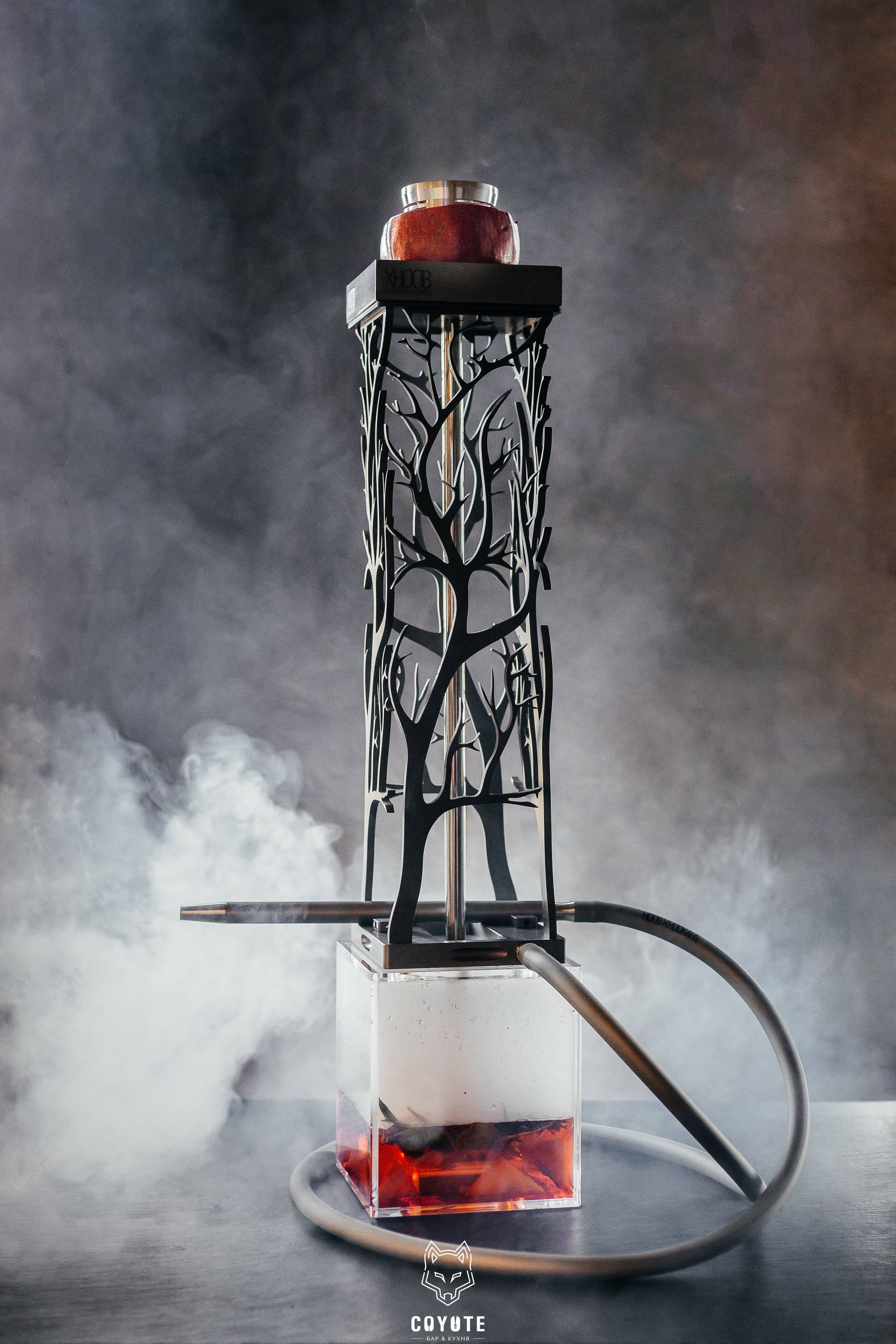 Бар Койот. Ваш самый лучший фотограф!