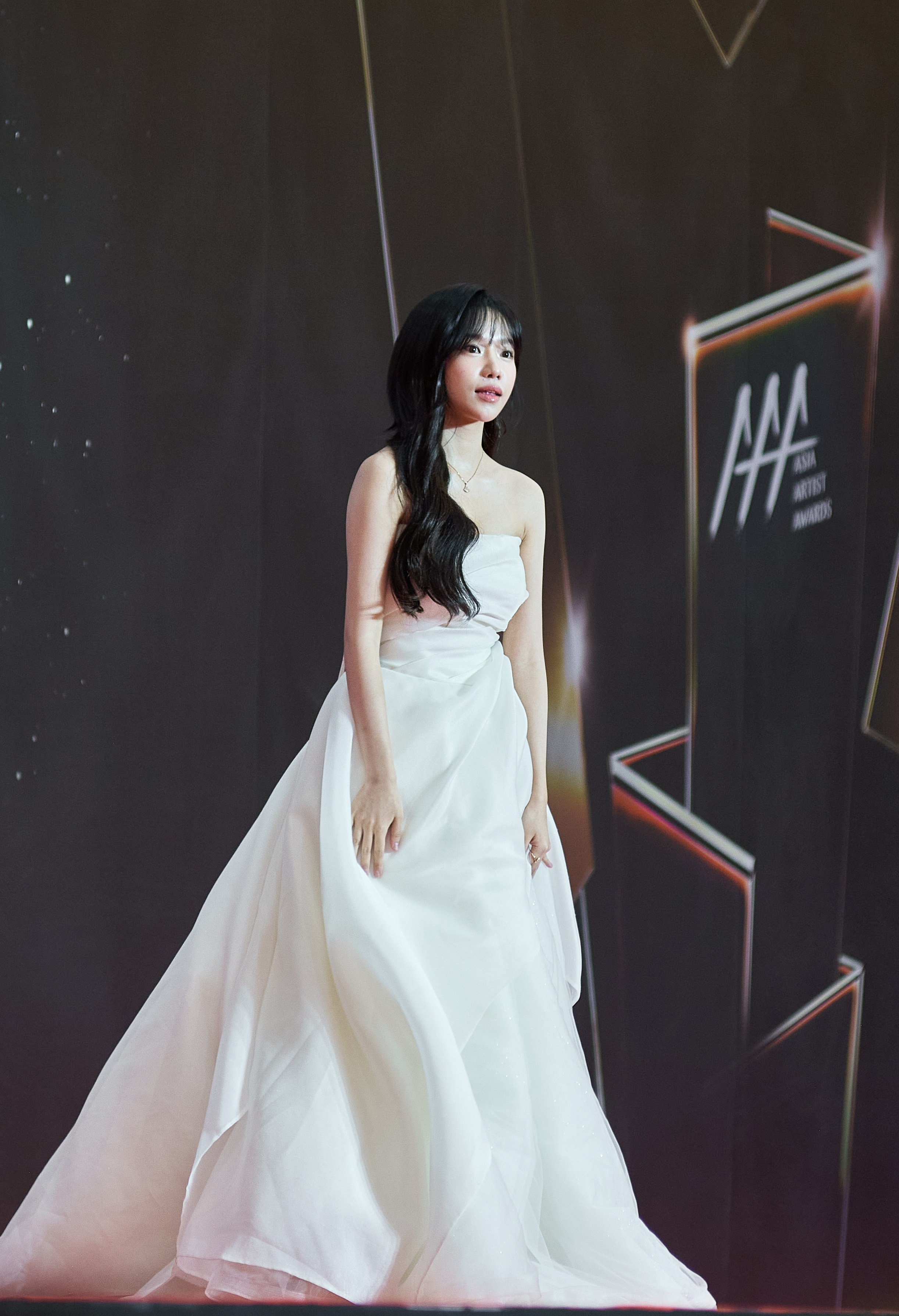 Asia Artist Awards 2024. Photographer Bangkok — Pattaya | фотограф Бангкок — Паттайа