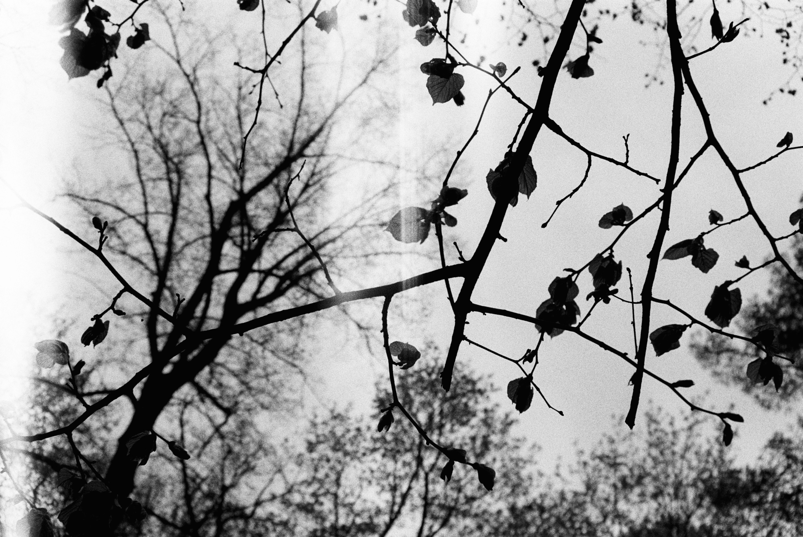 Путешествия. Anastasiia Kron